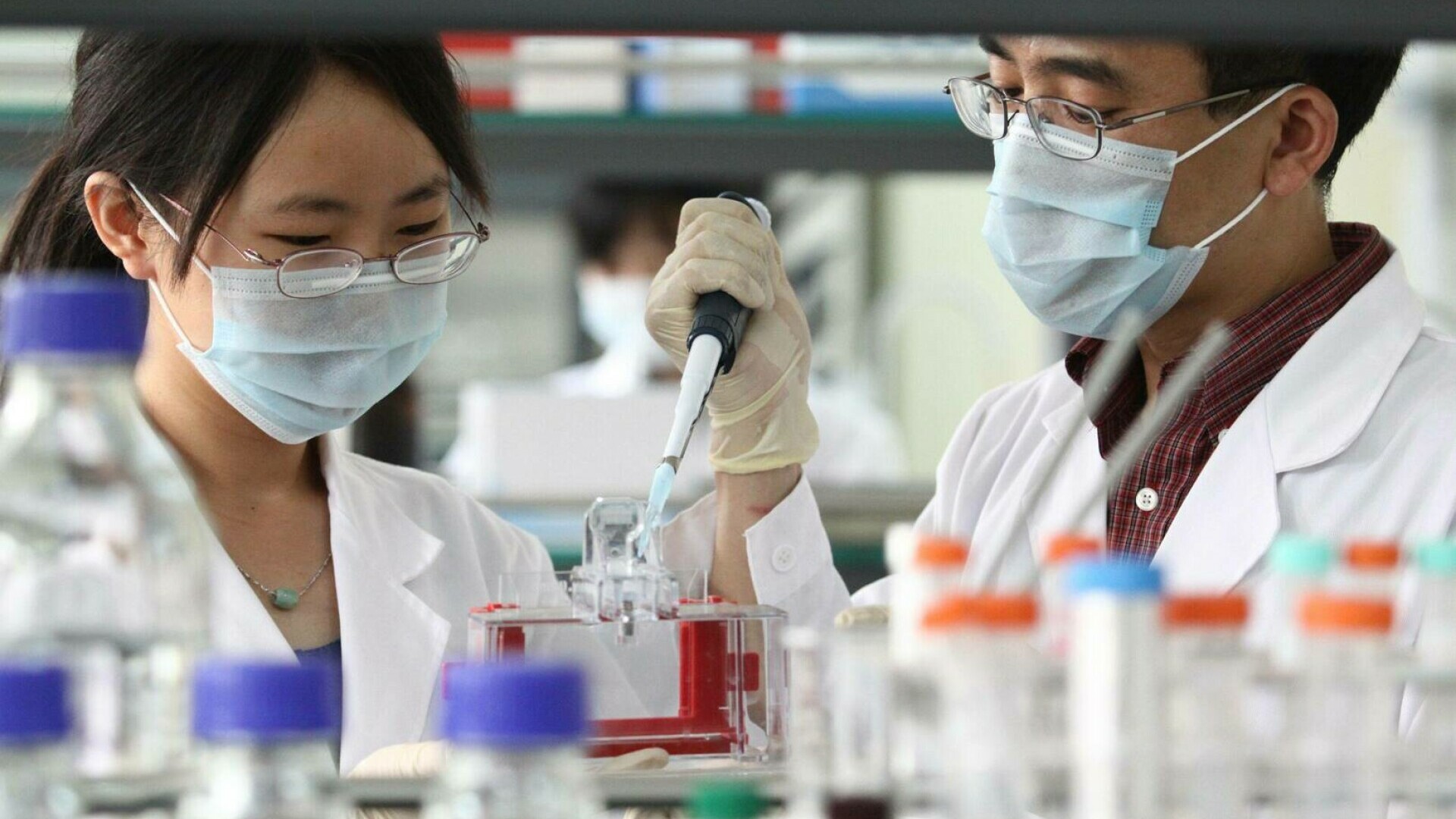 laborator china