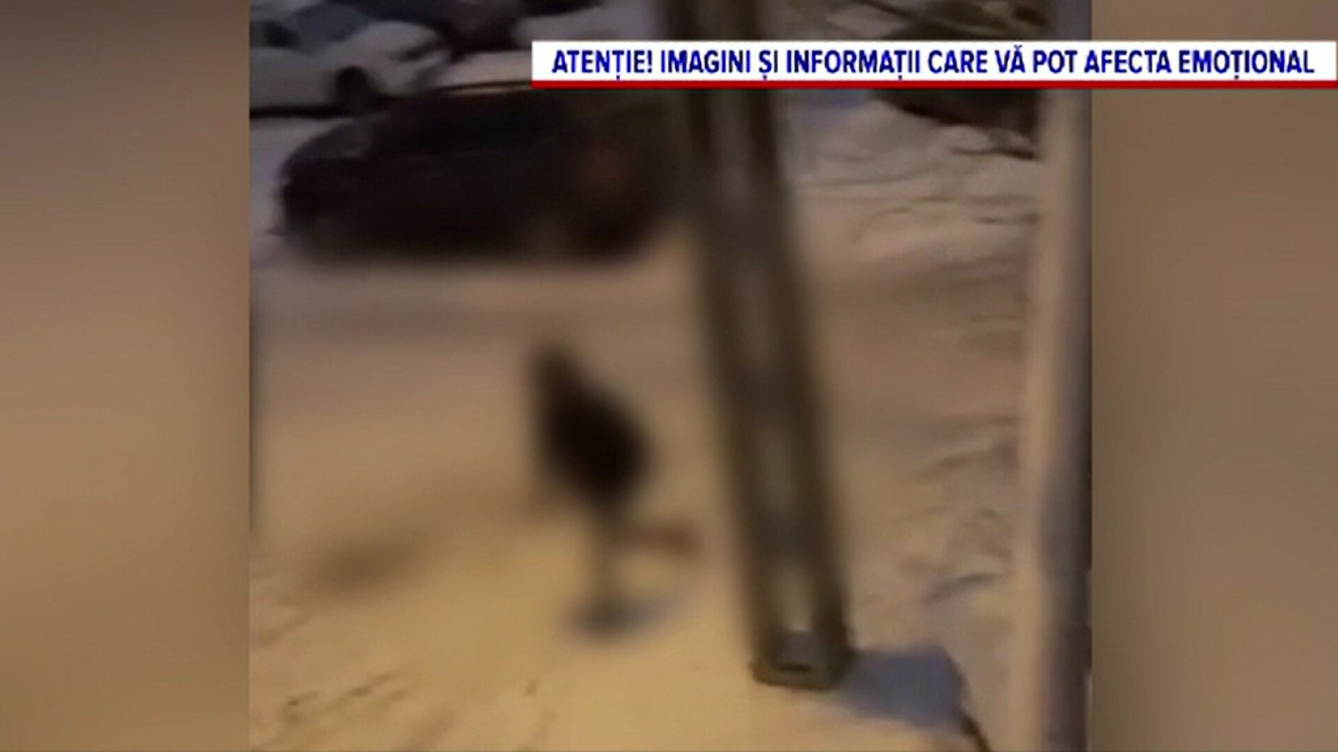 Un bărbat de 73 de ani din Oradea a fost bătut cu pumnii, picioarele și bâtele de trei tineri. De la ce au pornit violențele