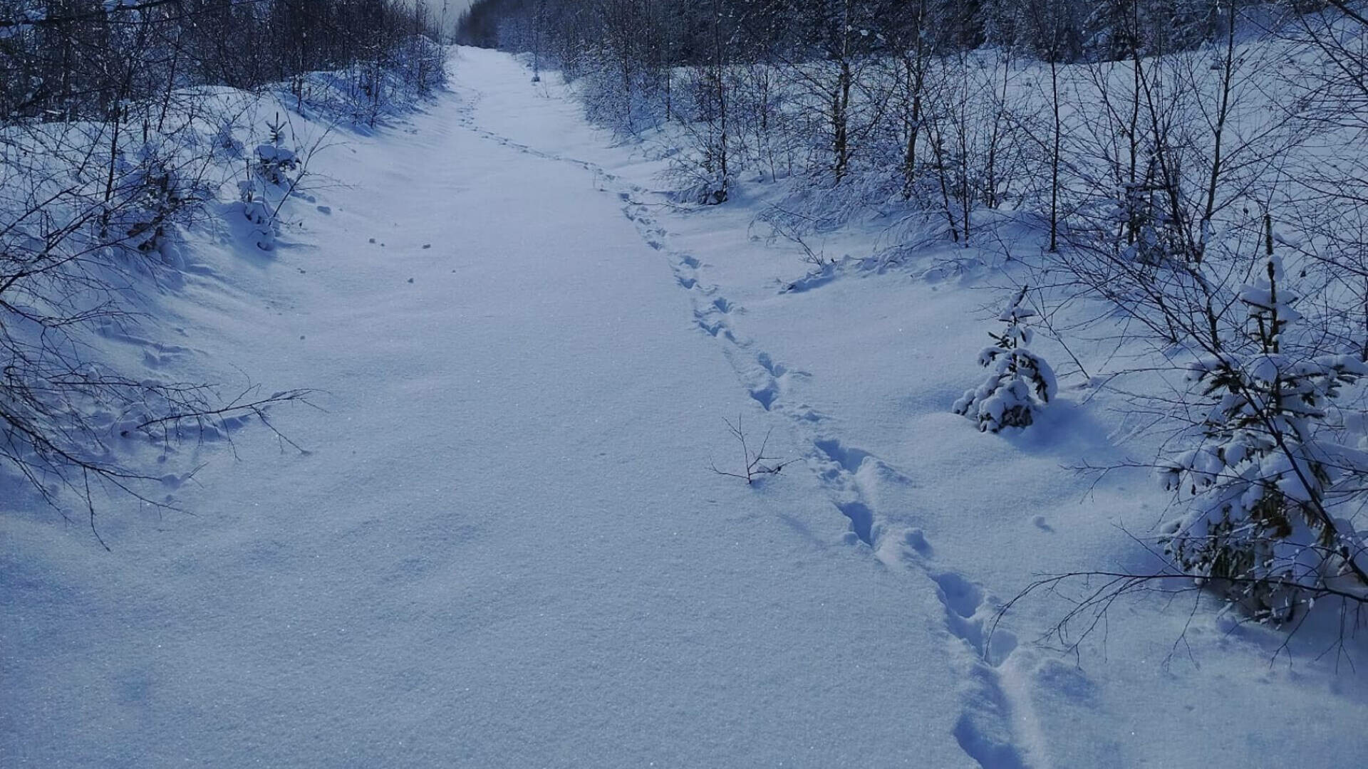 Zăpadă de până la doi metri în munții Sucevei. Mai multe trasee sunt nerecomandate. Avertisment de la Salvamont