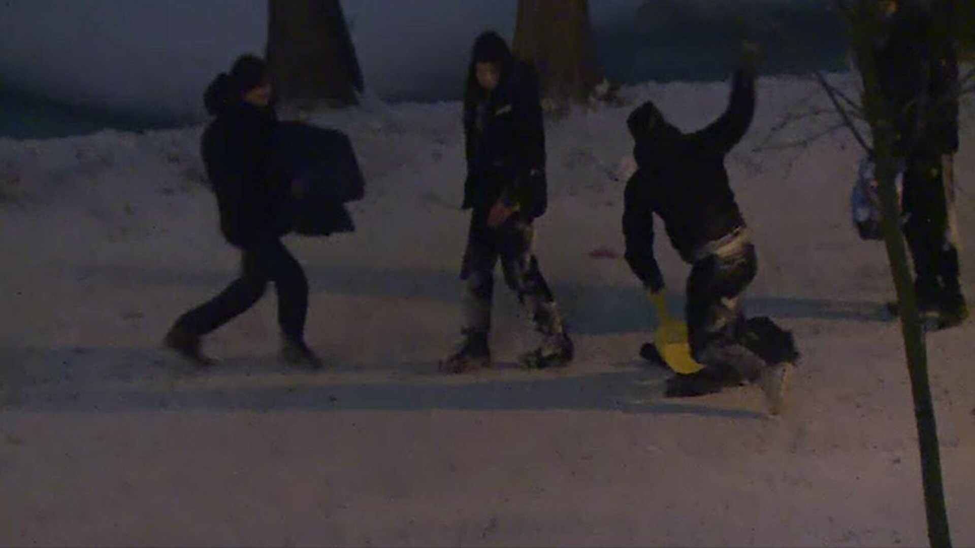 Distracție ca la munte, în mijlocul Capitalei. Bucureștenii au ieșit la săniuș în Parcul Tineretului