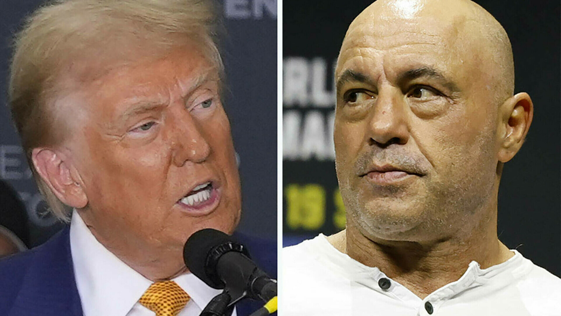 Joe Rogan, unul dintre marii susținători ai lui Trump, despre raidurile ICE pe străzile din SUA: ”Suntem chiar Gestapo?”