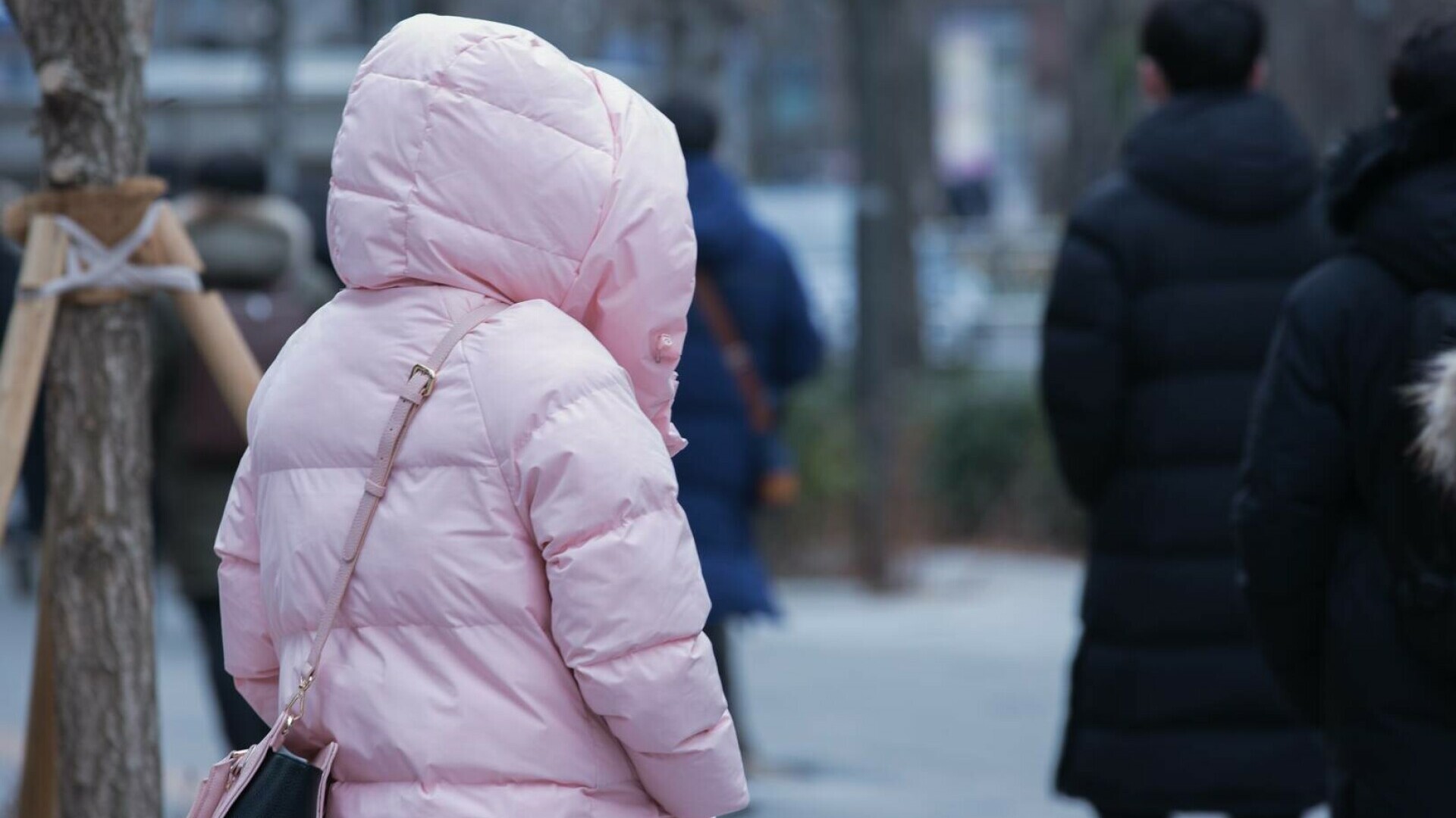 Vremea azi, 18 ianuarie 2026. Ger persistent în toată țara, cu temperaturi de până la minus 20 de grade