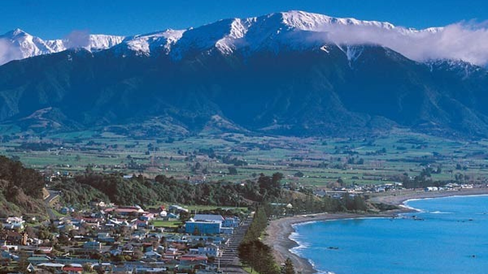 Noua Zeelanda