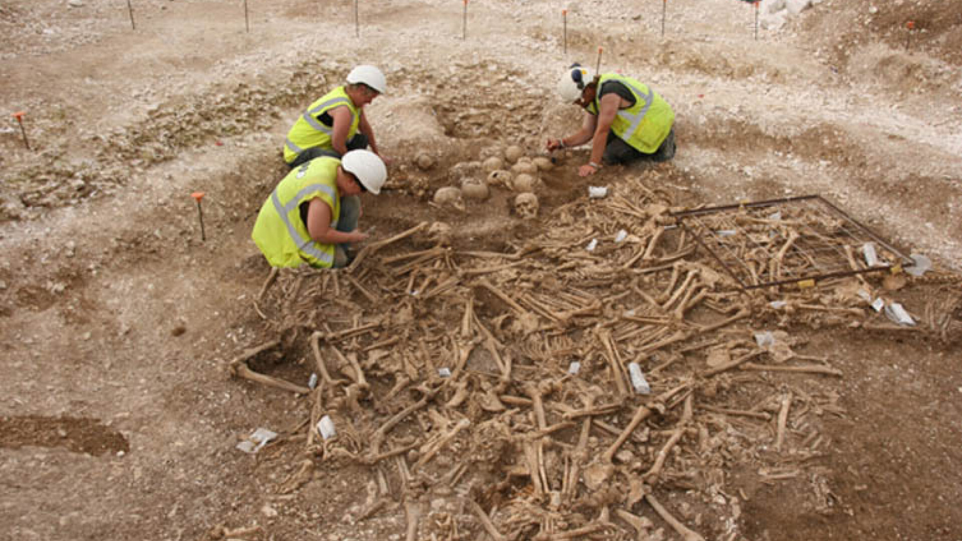 descoperire arheologica - oase de vichingi - 3