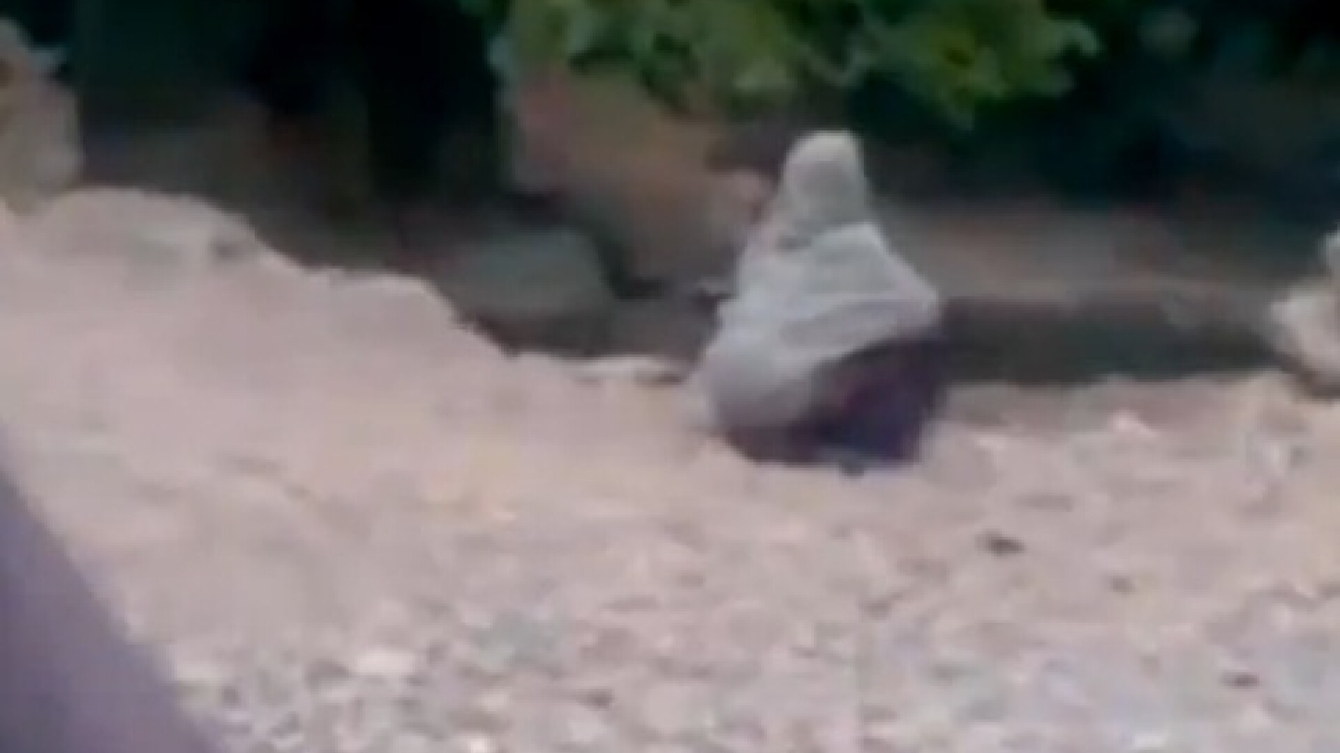 femeie executata de un taliban