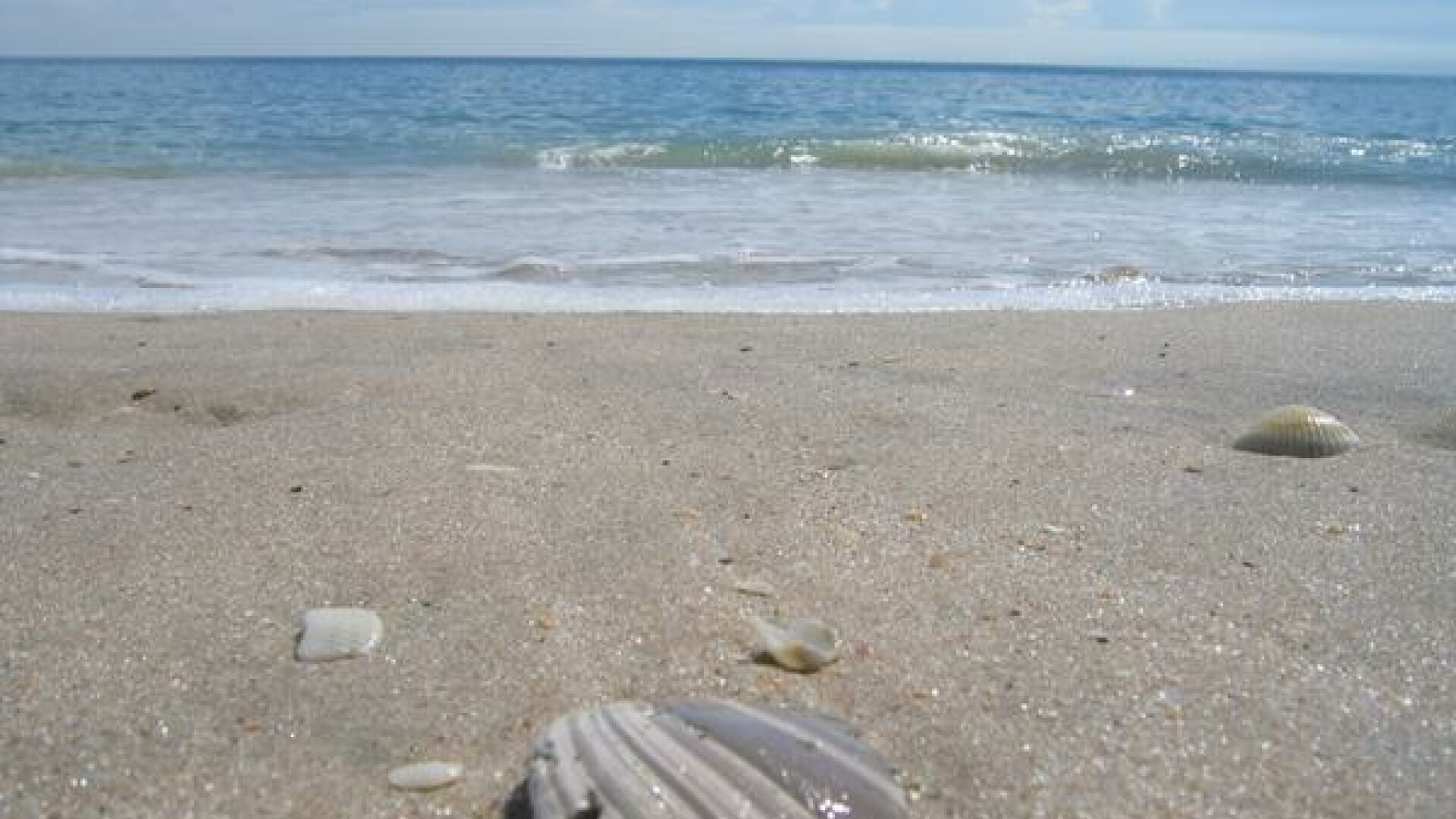 plaja Florida