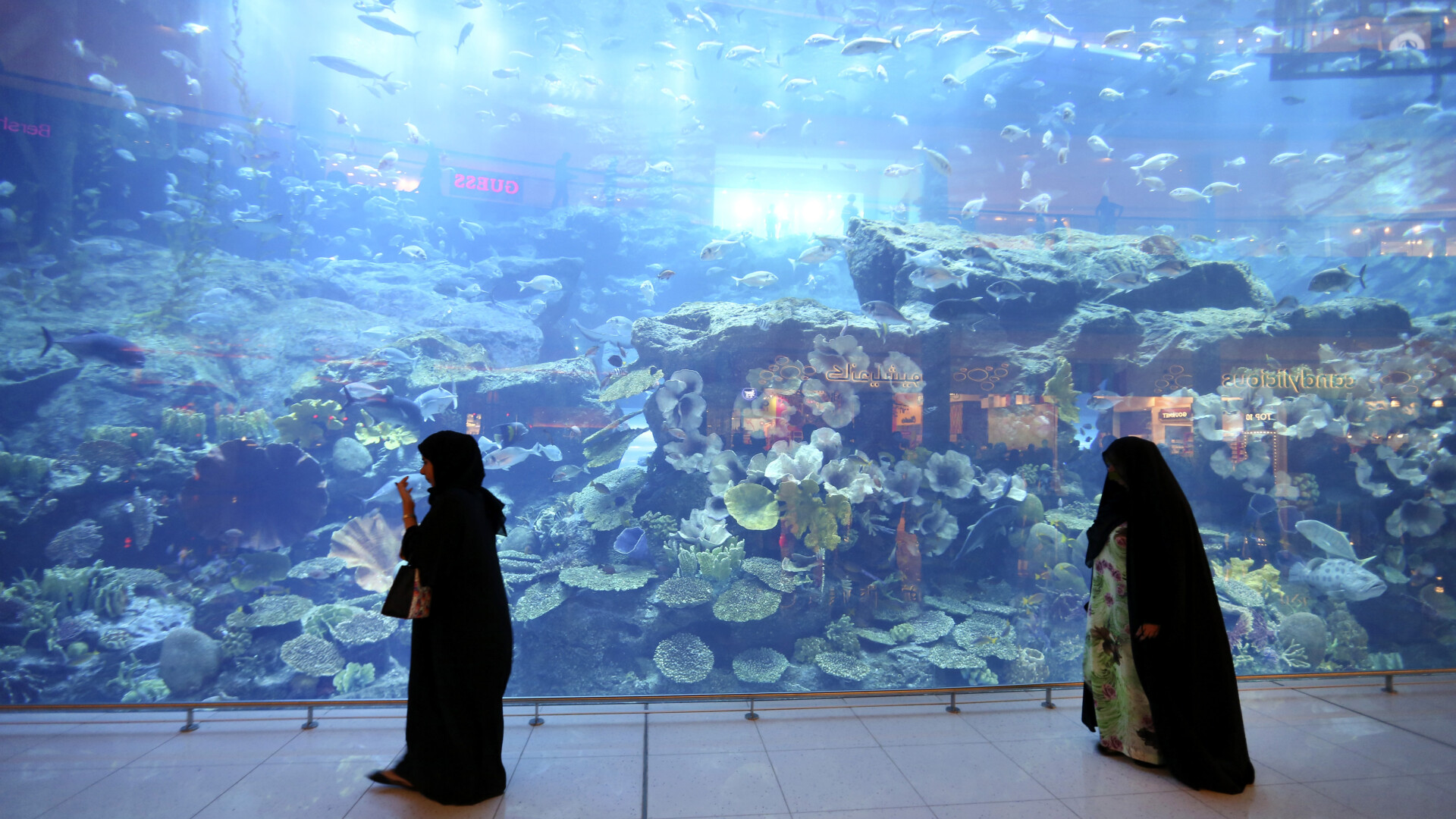 dubai mall