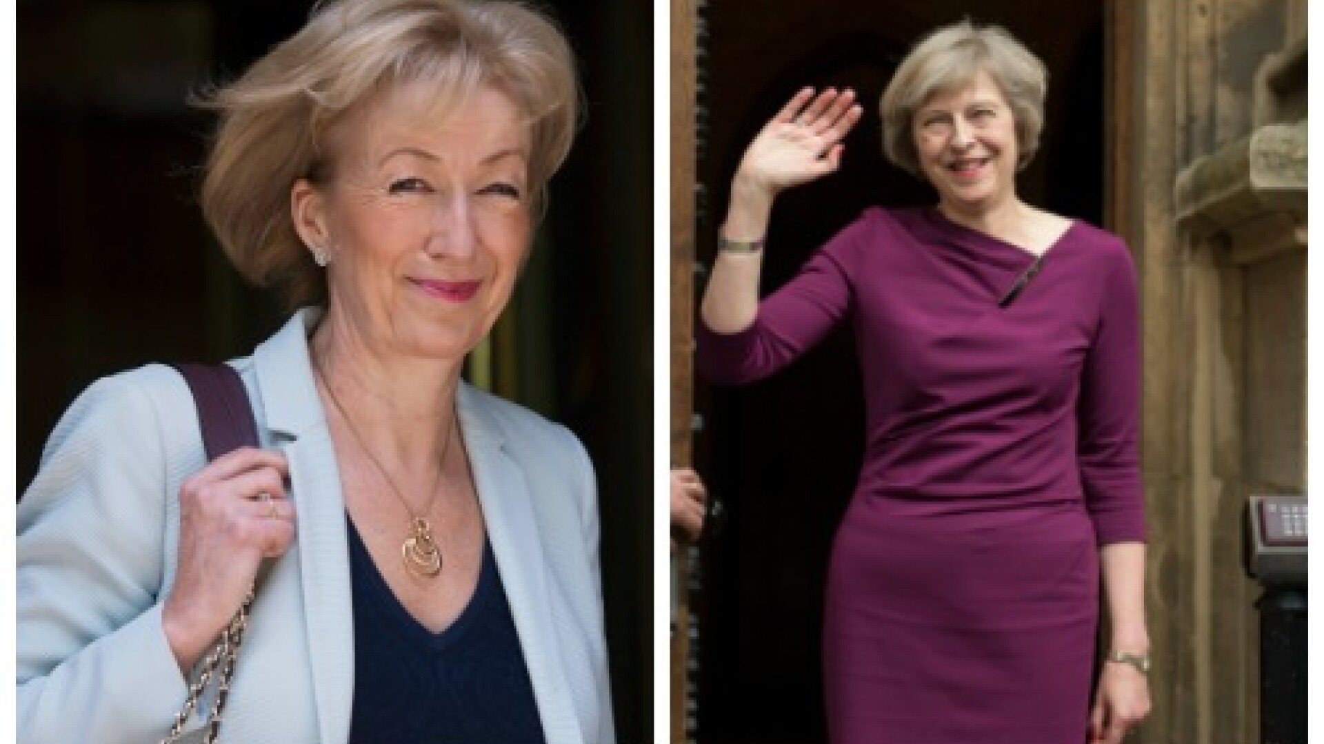 Andrea Leadsom,
