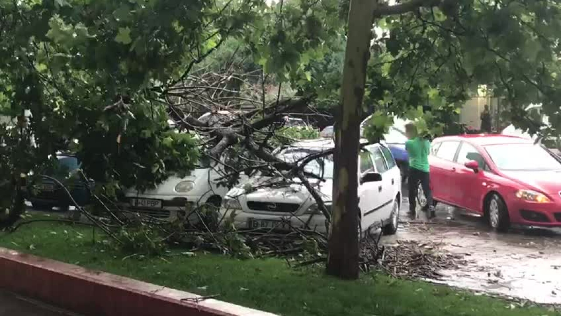 furtuna in Bucuresti