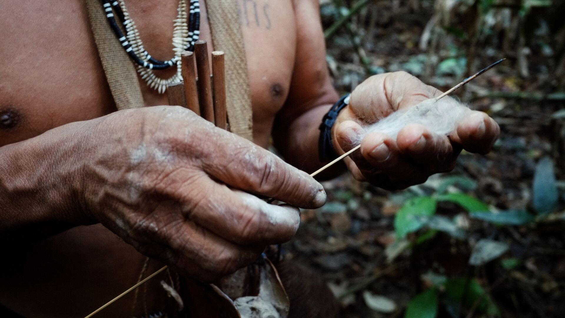 Imagini din interiorul celui mai amenințat trib. Pericolele ascunse în pădurea amazoniană