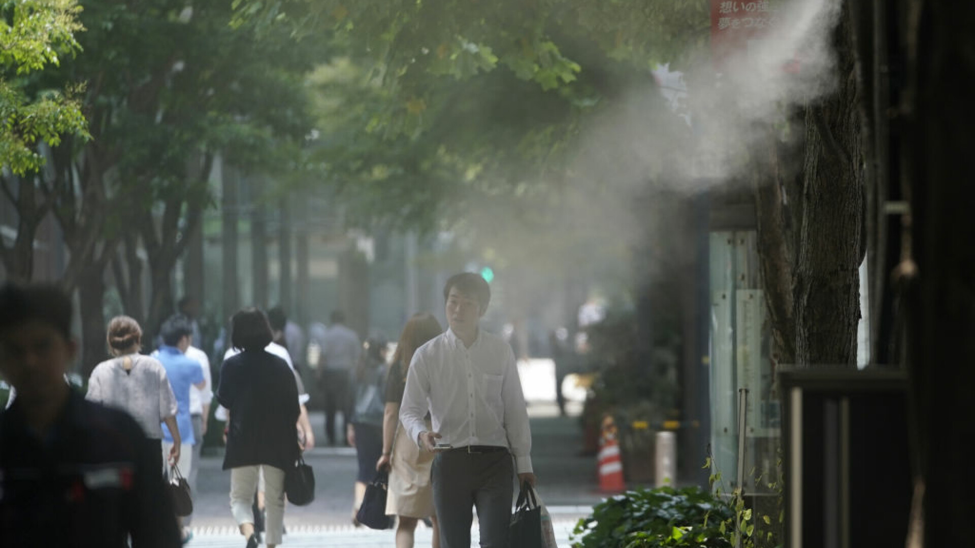 Canicula in Japonia