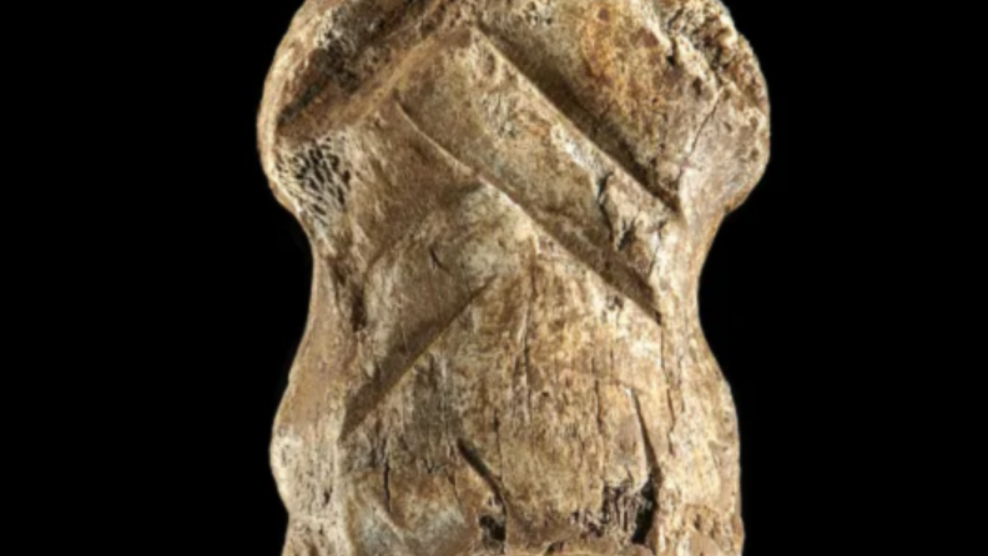 Un os preistoric sculptat, posibil cea mai veche lucrare de artă din lume