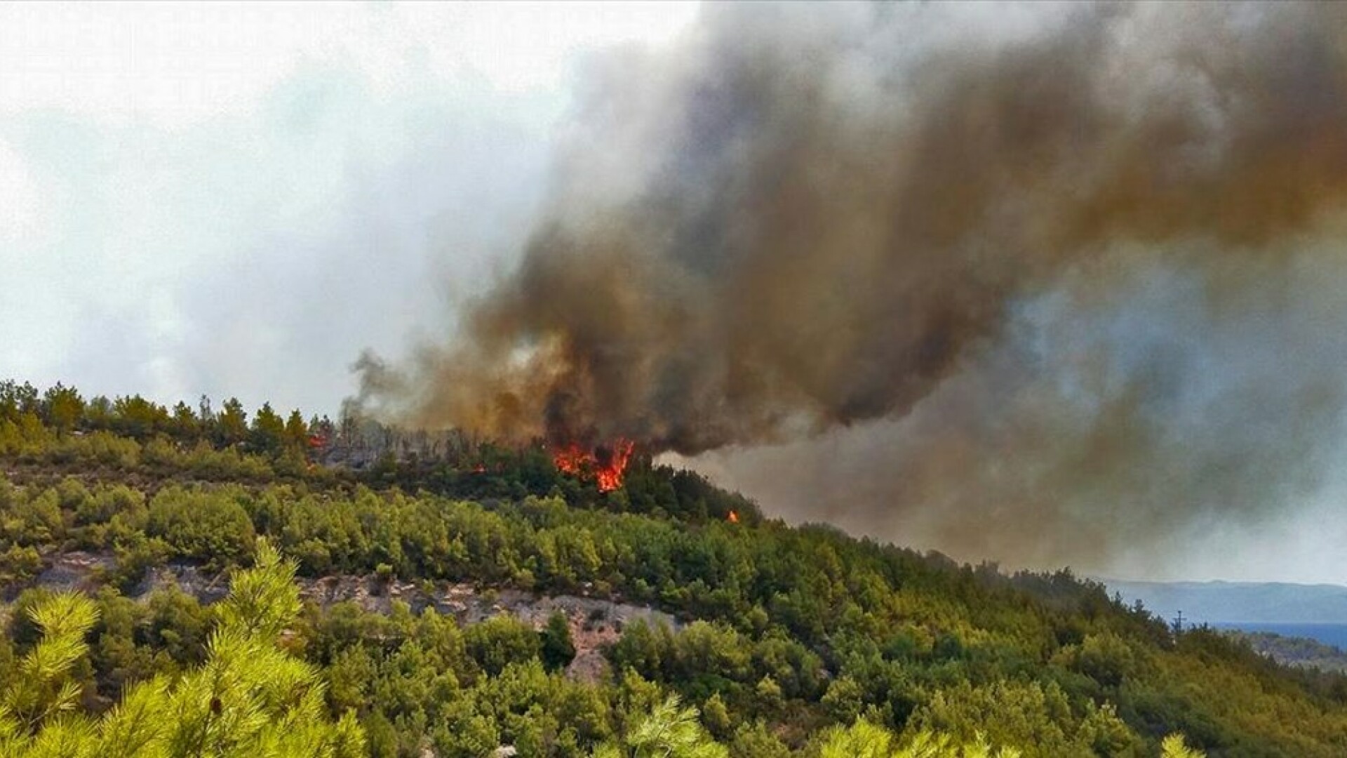 Mai multe hoteluri de pe insula grecescă Samos, evacuate din cauza unui incendiu major