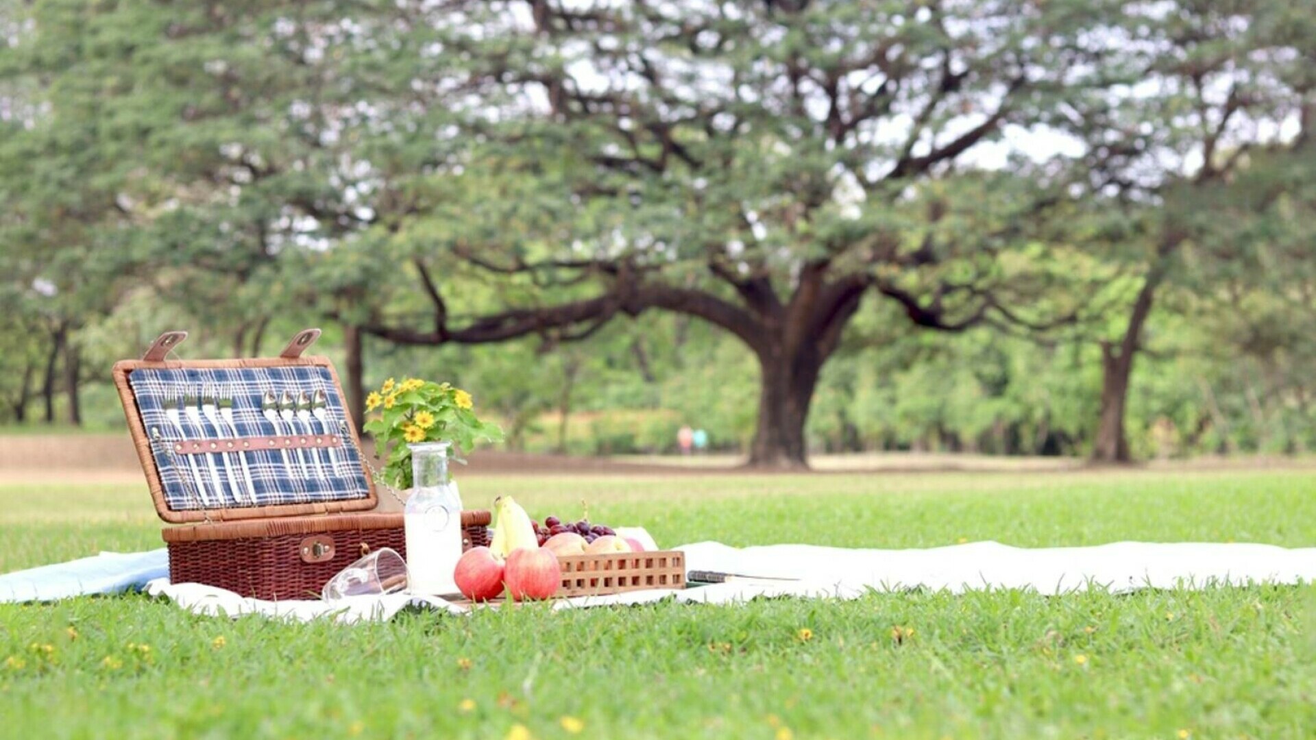 locuri de picnic