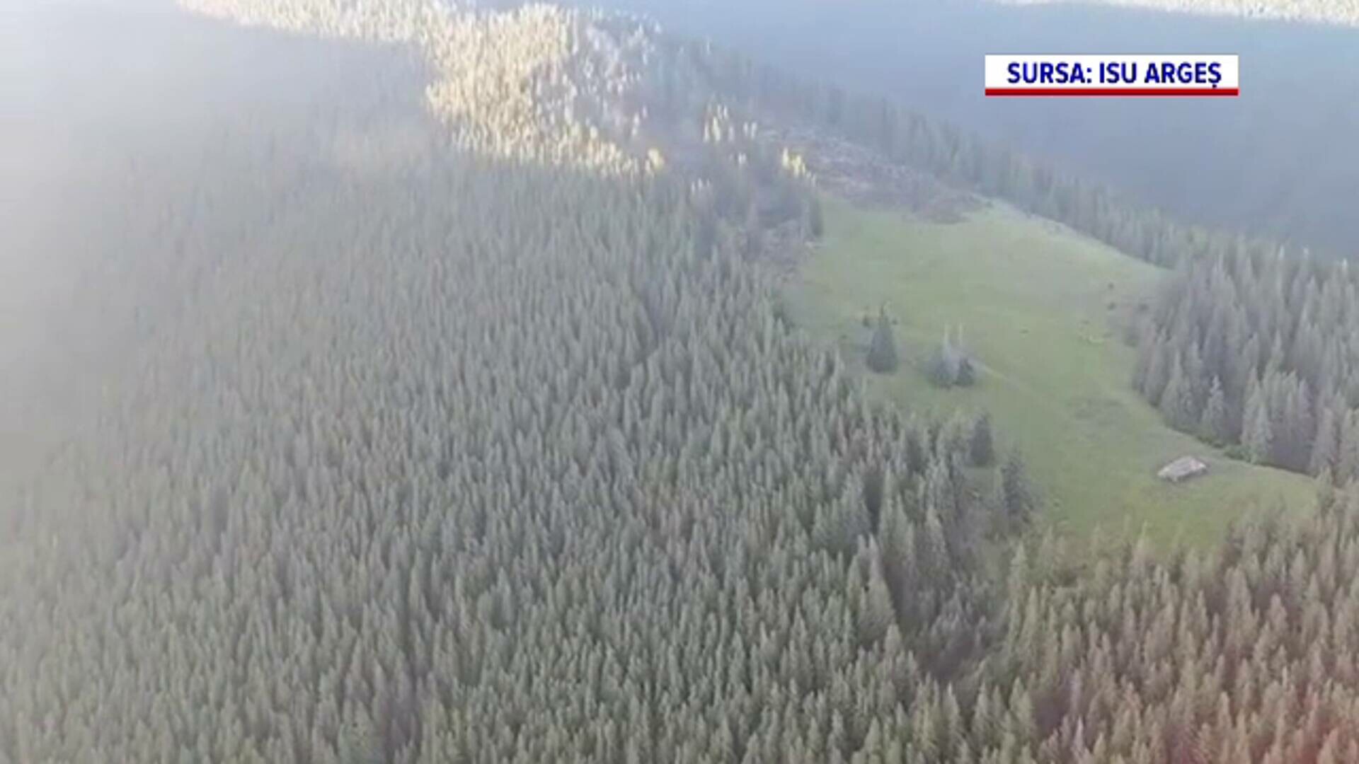 Incendiu de proporții în Argeș. Cinci hectare au ars în întregime. Pompierii s-au luptat din răsputeri să stingă flăcările