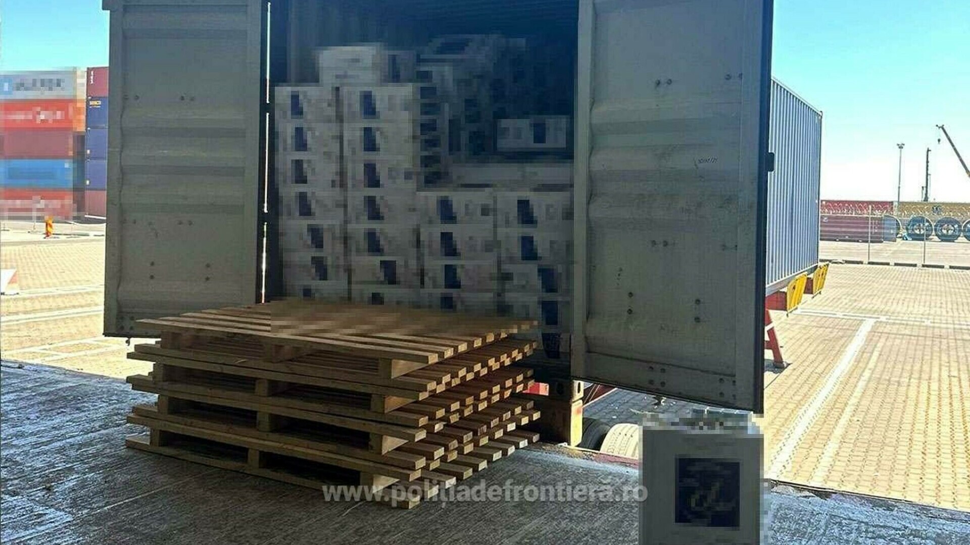 Descoperire de 8,2 milioane de lei în Portul Constanţa. Ce au găsit polițiștii într-un container sosit din Olanda. FOTO