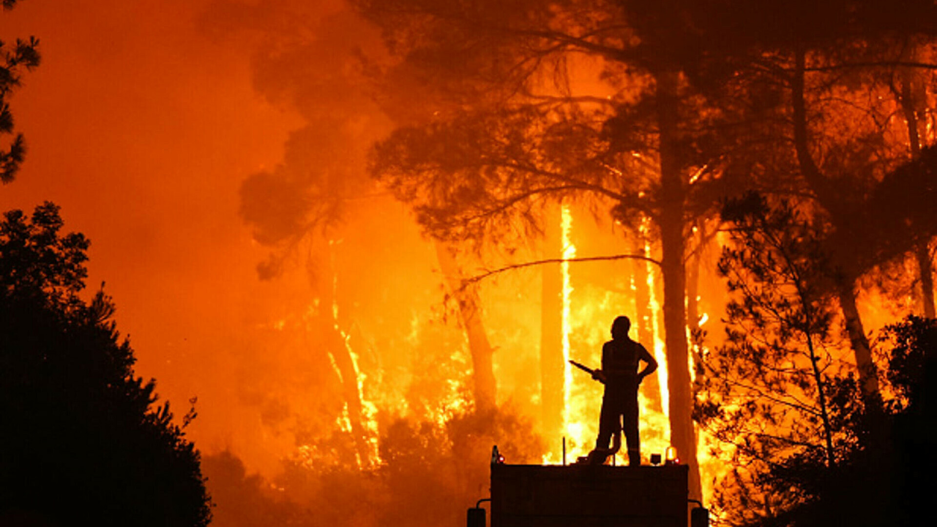 Turcia a arestat 10 suspecţi după izbucnirea incendiilor de vegetaţie. Anchetă în curs pentru 15 persoane