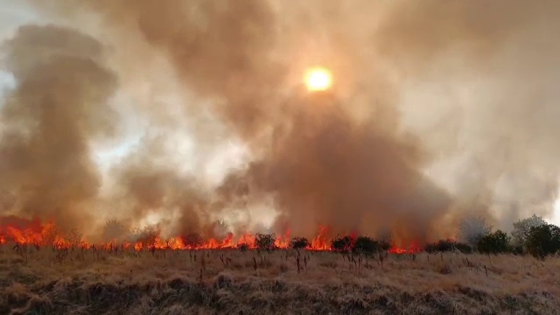 incendii vegetatie