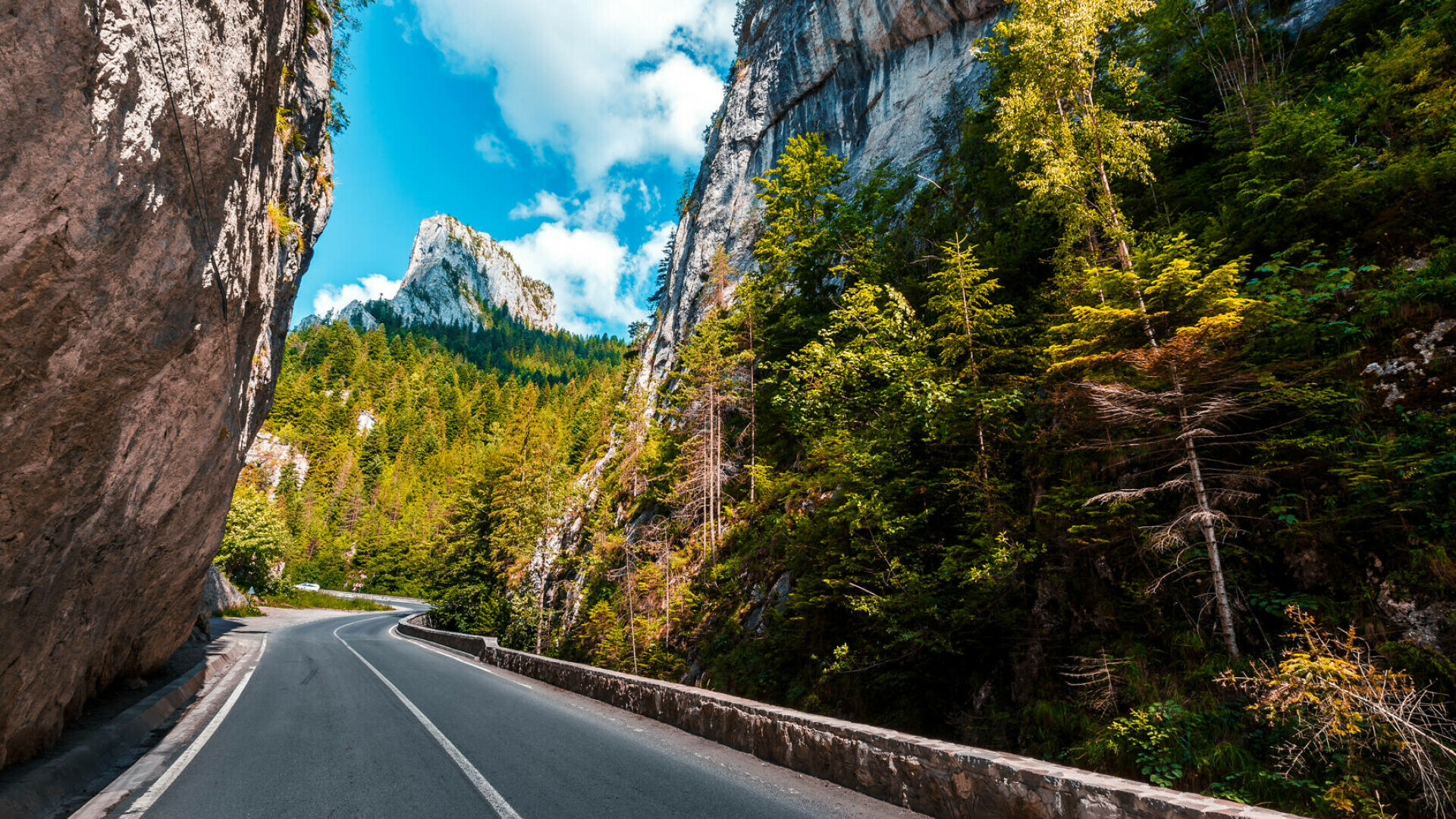 Cheile Bicazului – ghid complet pentru explorarea uneia dintre cele mai spectaculoase minuni naturale din România