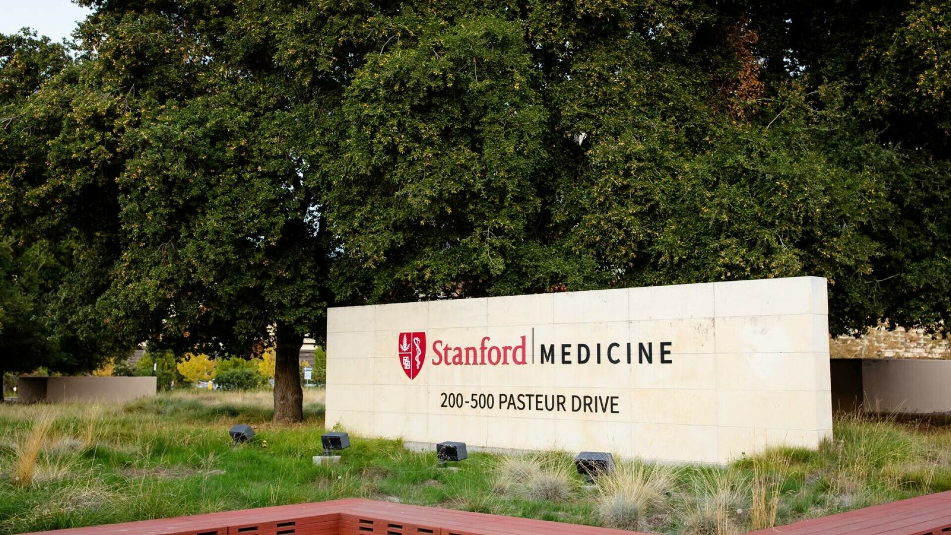 Studiu revoluționar realizat la Stanford. Vârsta organelor poate fi aflată folosind inteligența artificială