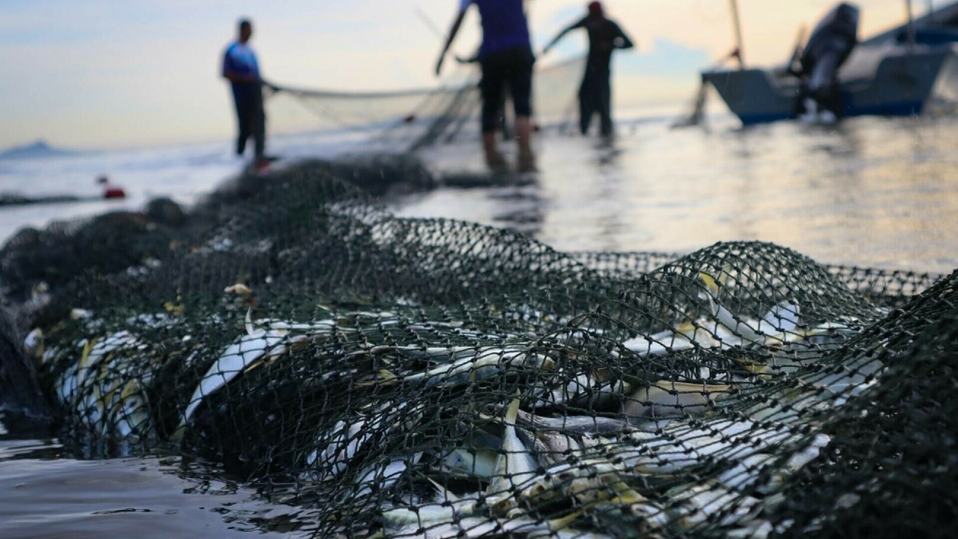 Ce au descoperit polițiștii de frontieră în plasele unor pescari, în Tulcea | FOTO