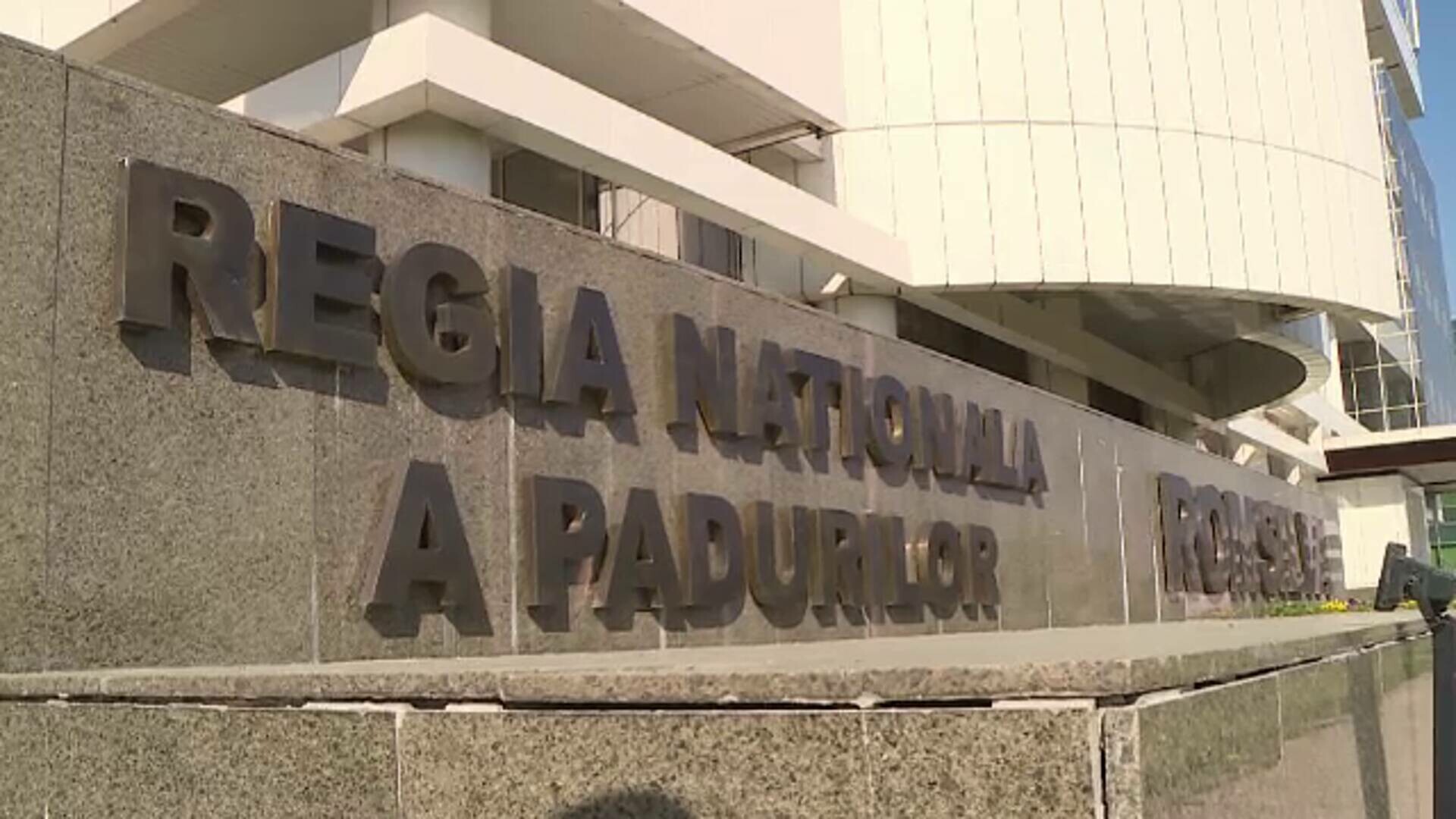 Romsilva va fi restructurată din temelii. Vor fi tăiate privilegiile directorilor. „Nu mai avem nevoie de 99 de șefi”