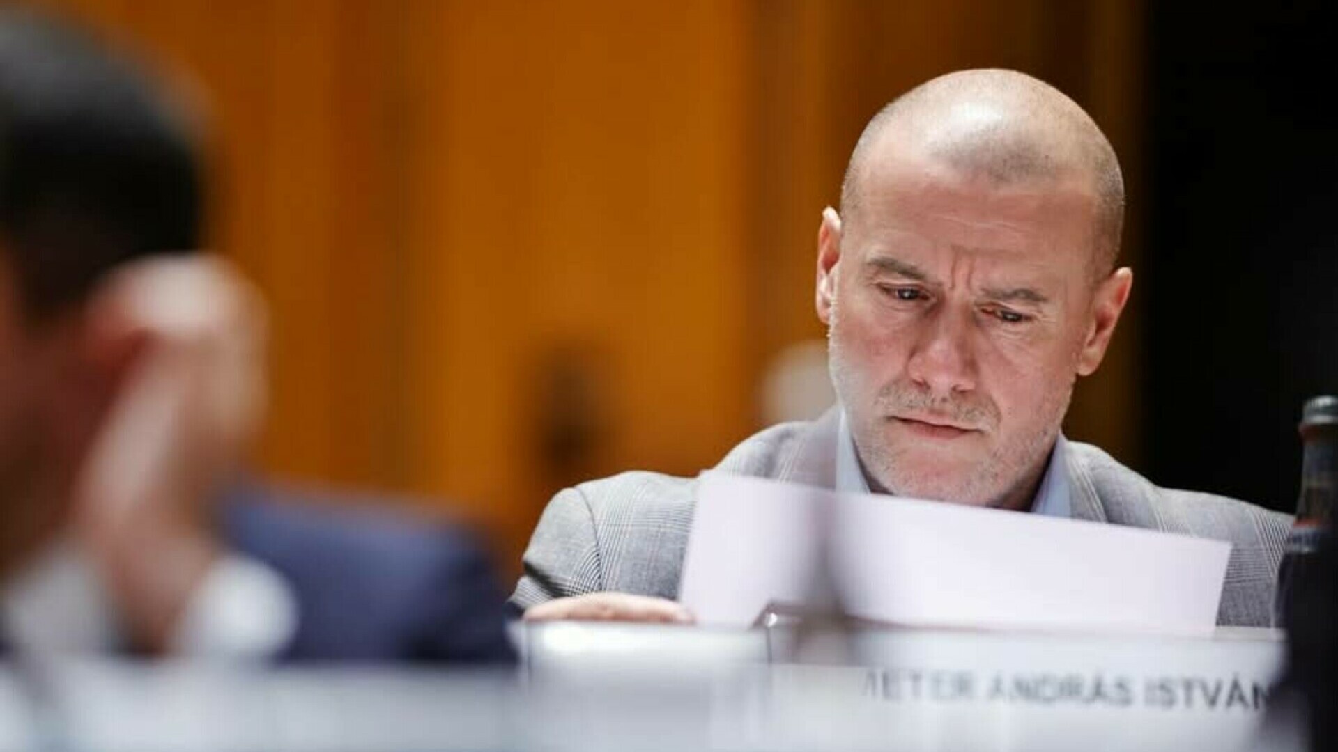 Ministrul Culturii, Demeter Andras Istvan