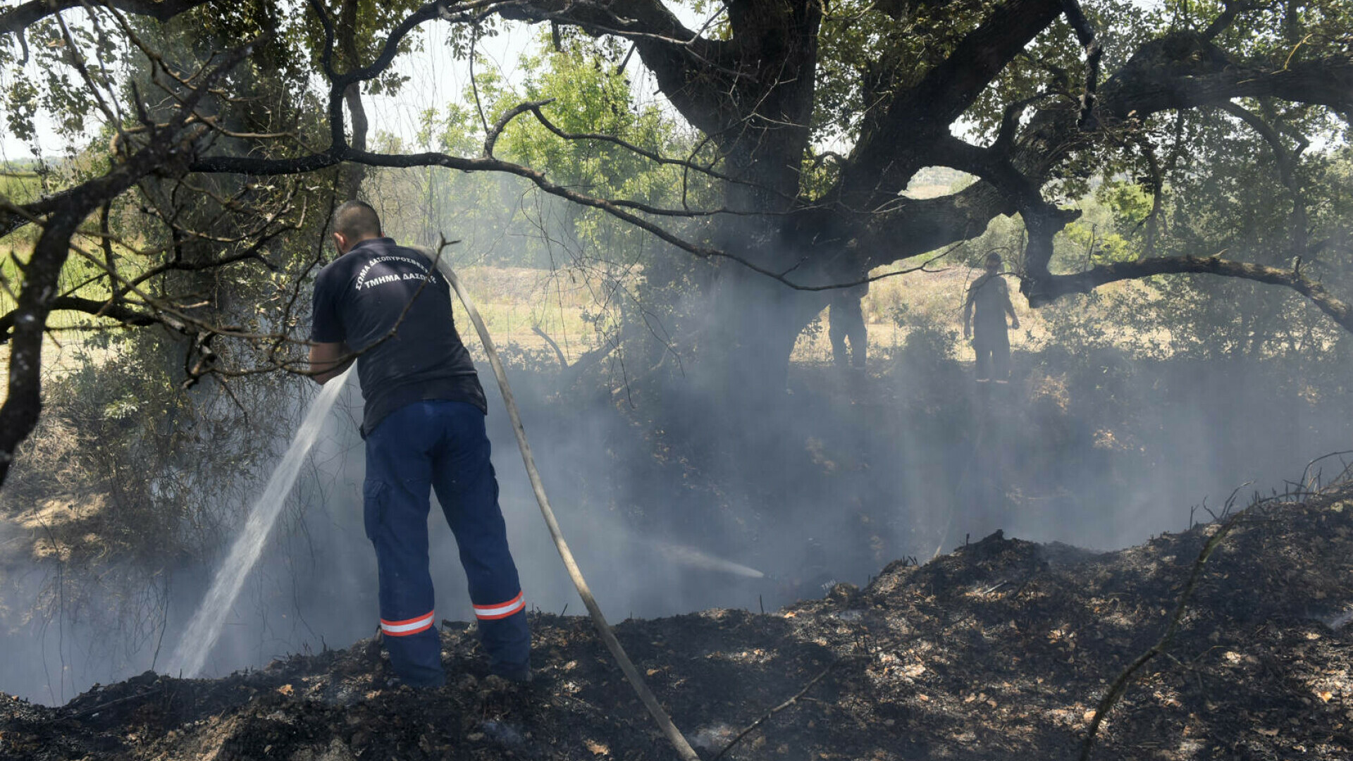 Două persoane au murit şi alte sute au fost evacuate în urma unui incendiu masiv de vegetaţie în Cipru