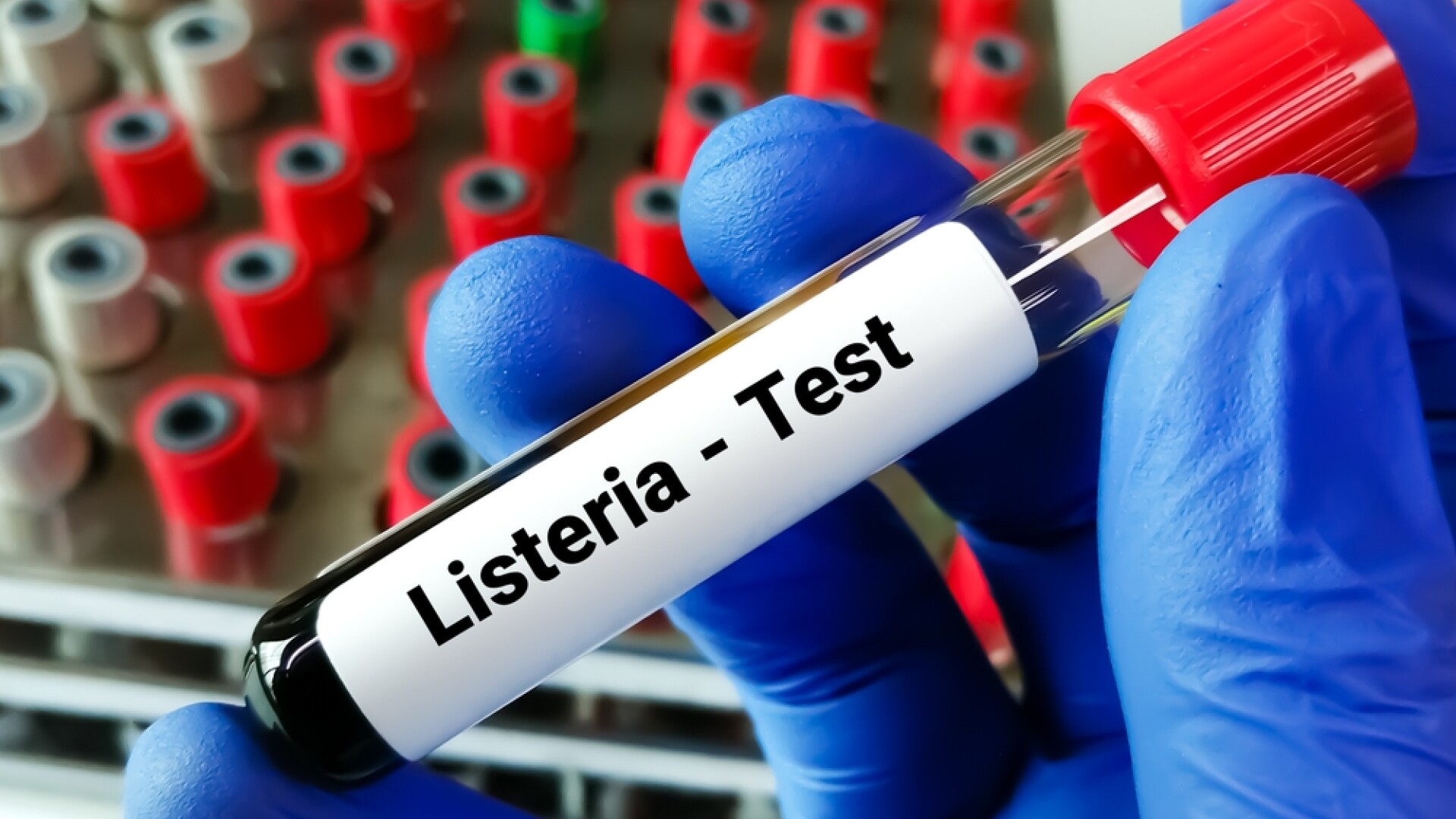 infecție bacteriană cu listeria