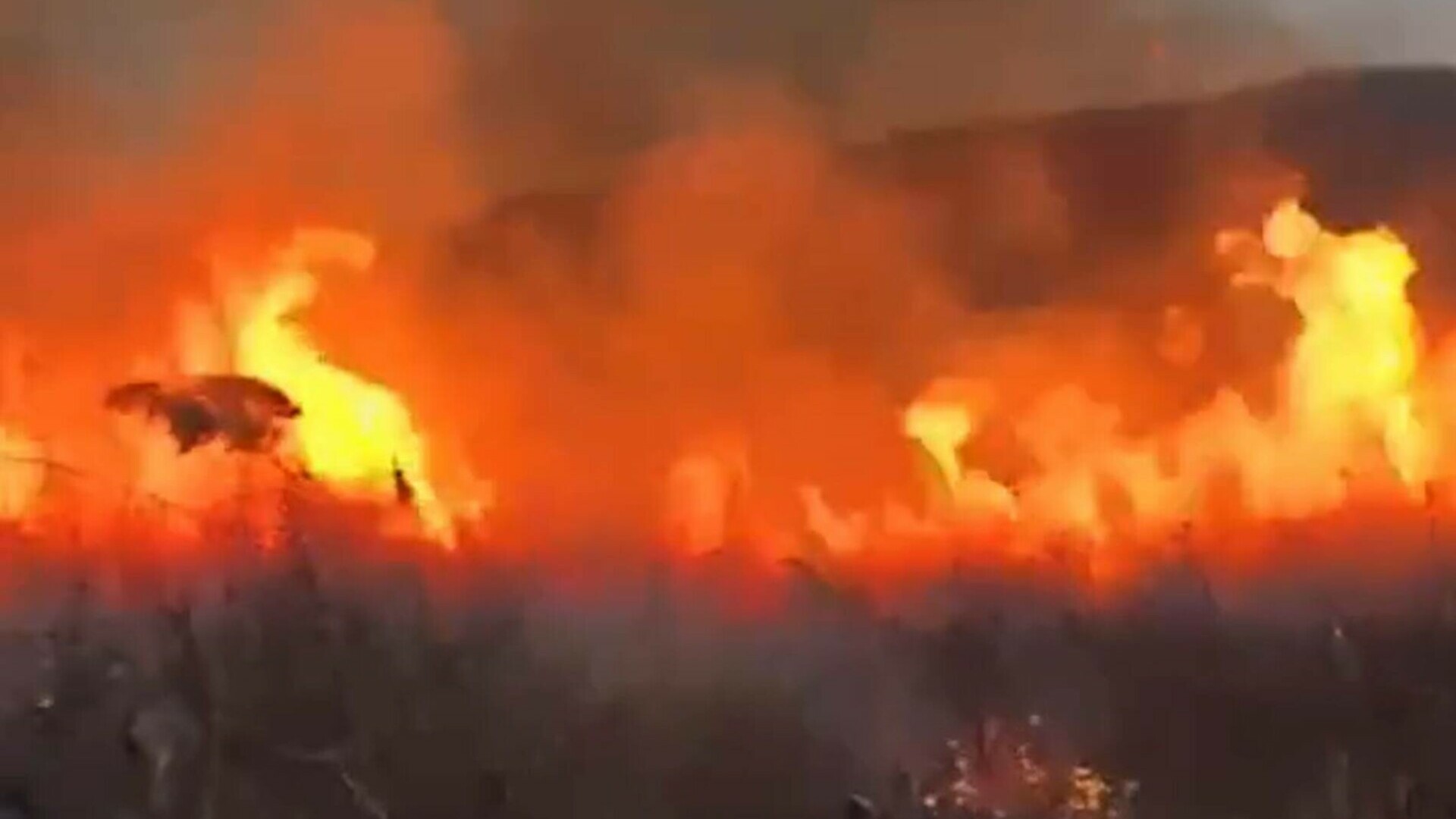 Canicula extremă favorizează incendiile din România. Pompierii intervin la sol și din aer pentru stingerea focarelor