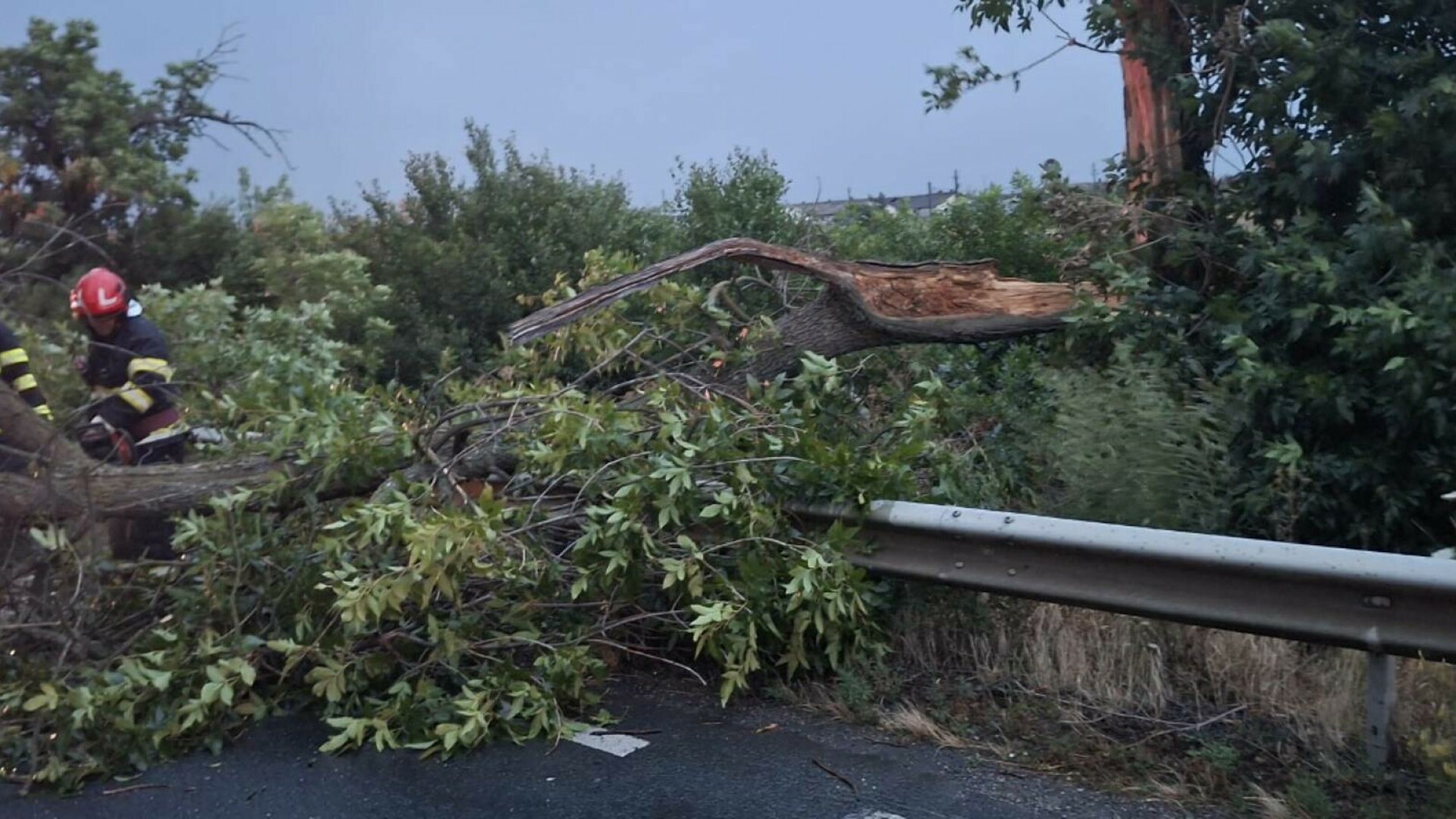 Peste 2.200 de bihoreni nu au curent electric după furtună. 15 echipe acționează pentru remedierea defecțiunilor