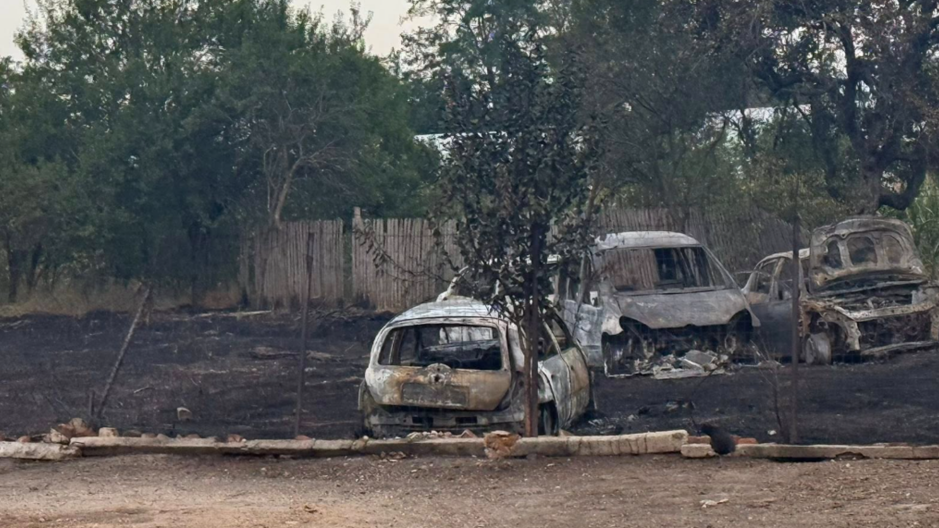 Incendiile de vegetație din Argeș au făcut prăpăd. Zeci de mii de metri pătrați, gospodării și mașini au ars