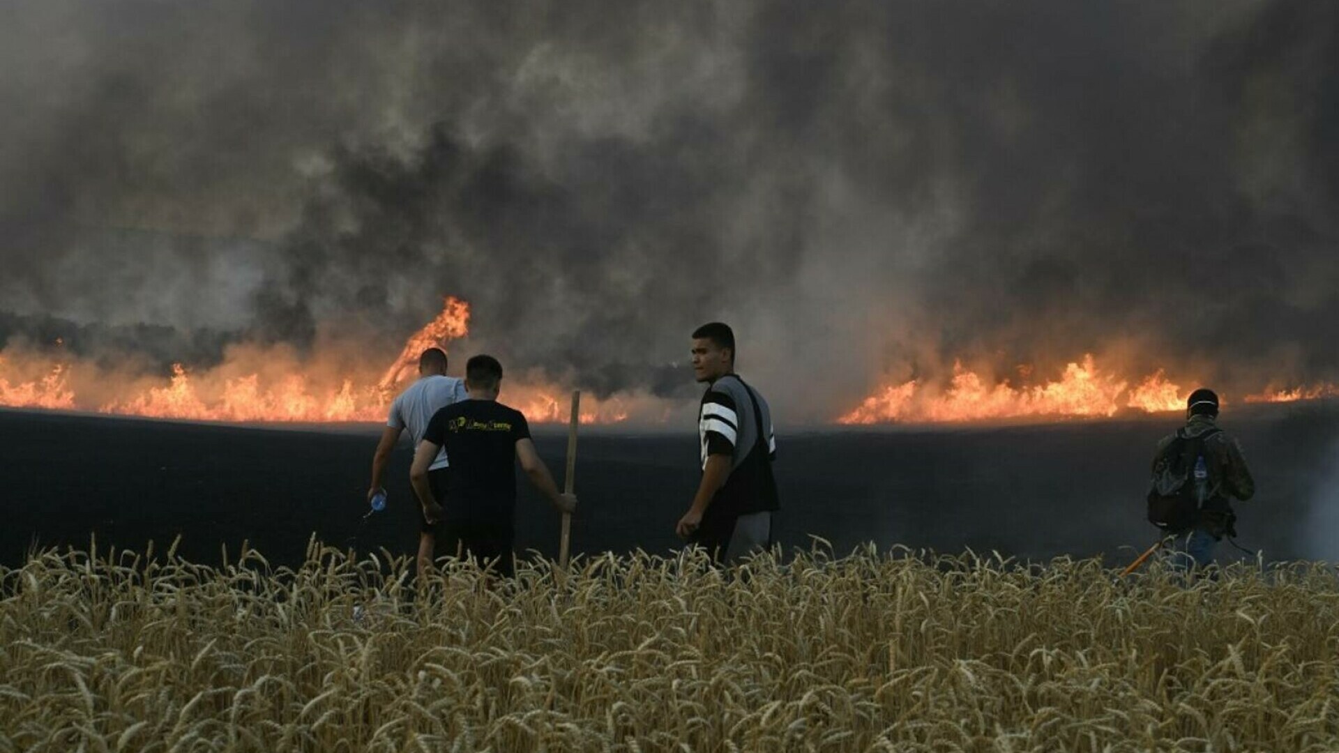 Incendiile de vegetație fac ravagii în sudul Bulgariei. România a trimis de urgență un elicopter Black Hawk