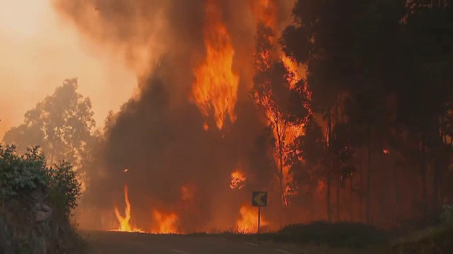 Un băiat de 14 ani a mărturisit că a provocat intenționat unele incendii devastatoare din Portugalia. Motivul este uimitor