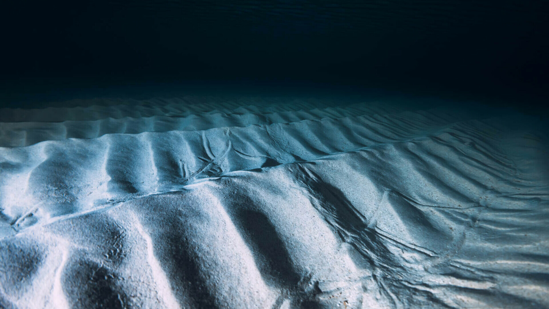 fund ocean