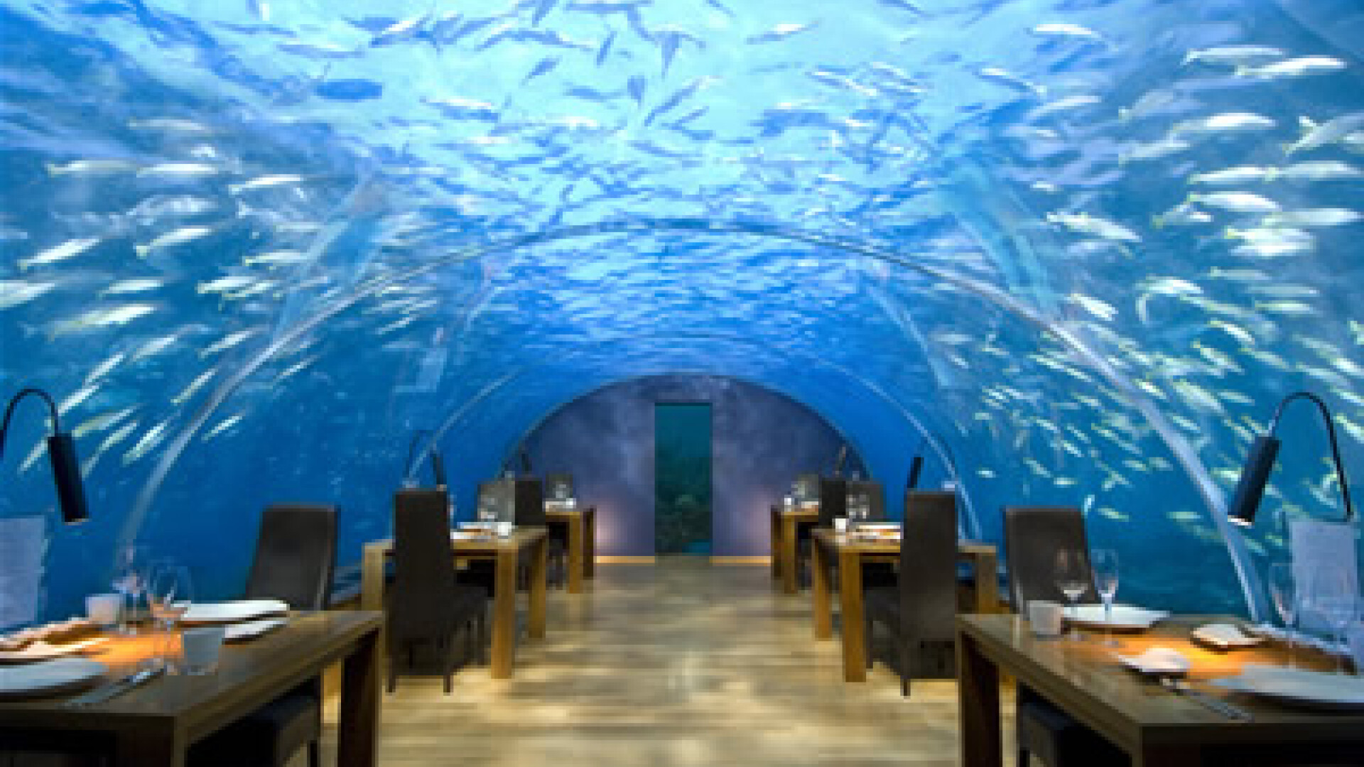 restaurant maldive