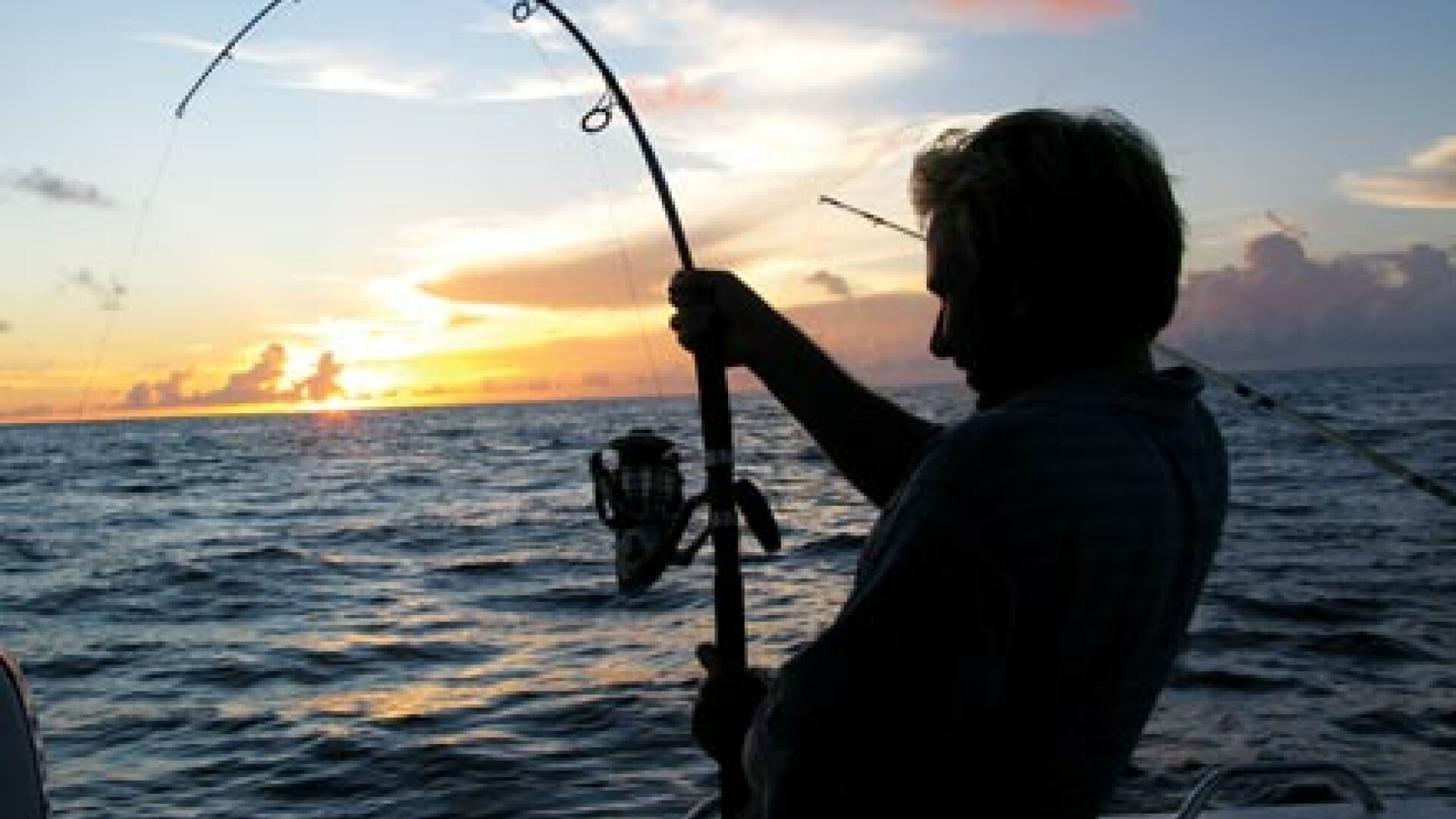 pescar, pescuit