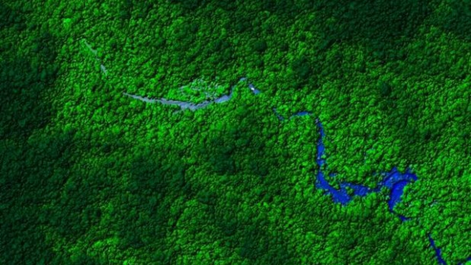 harta jungla Honduras