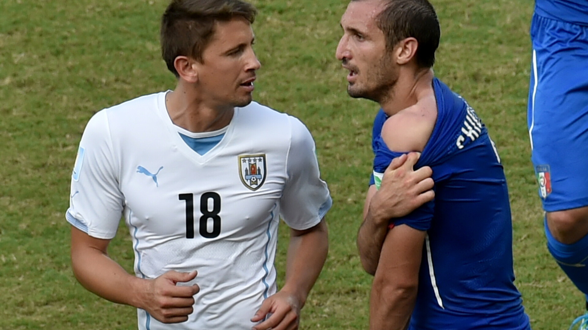 Giorgio Chiellini, muscat de Luis Suarez