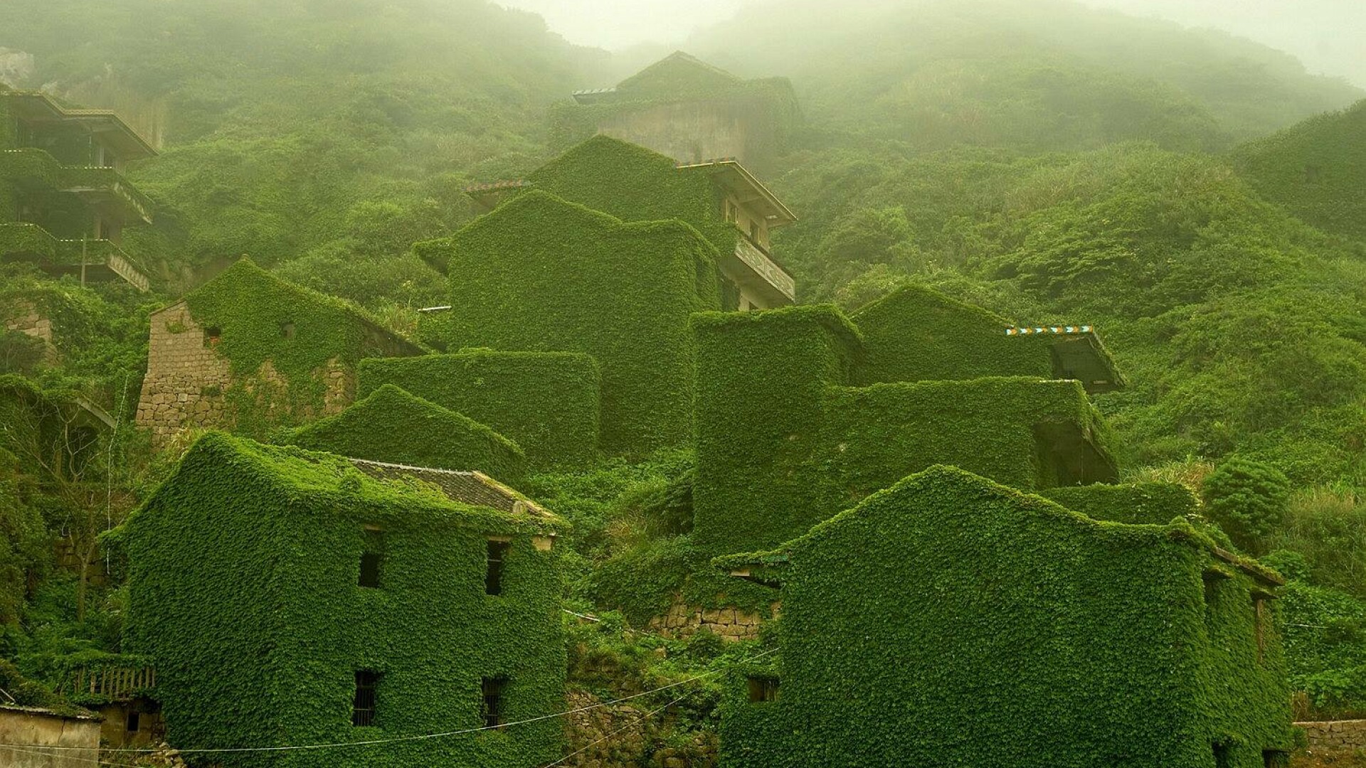 natura, cladiri, China - Qingjian photo