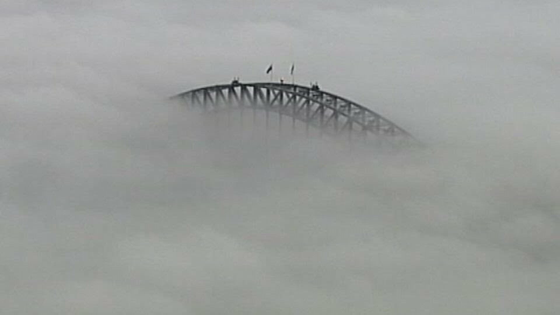 ceata Sydney