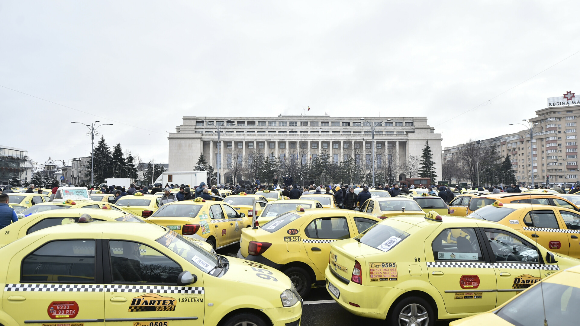Miting organizat de Confederatia Operatorilor si Transportatorilor Autorizati din Romania (COTAR), in Piata Victoriei.