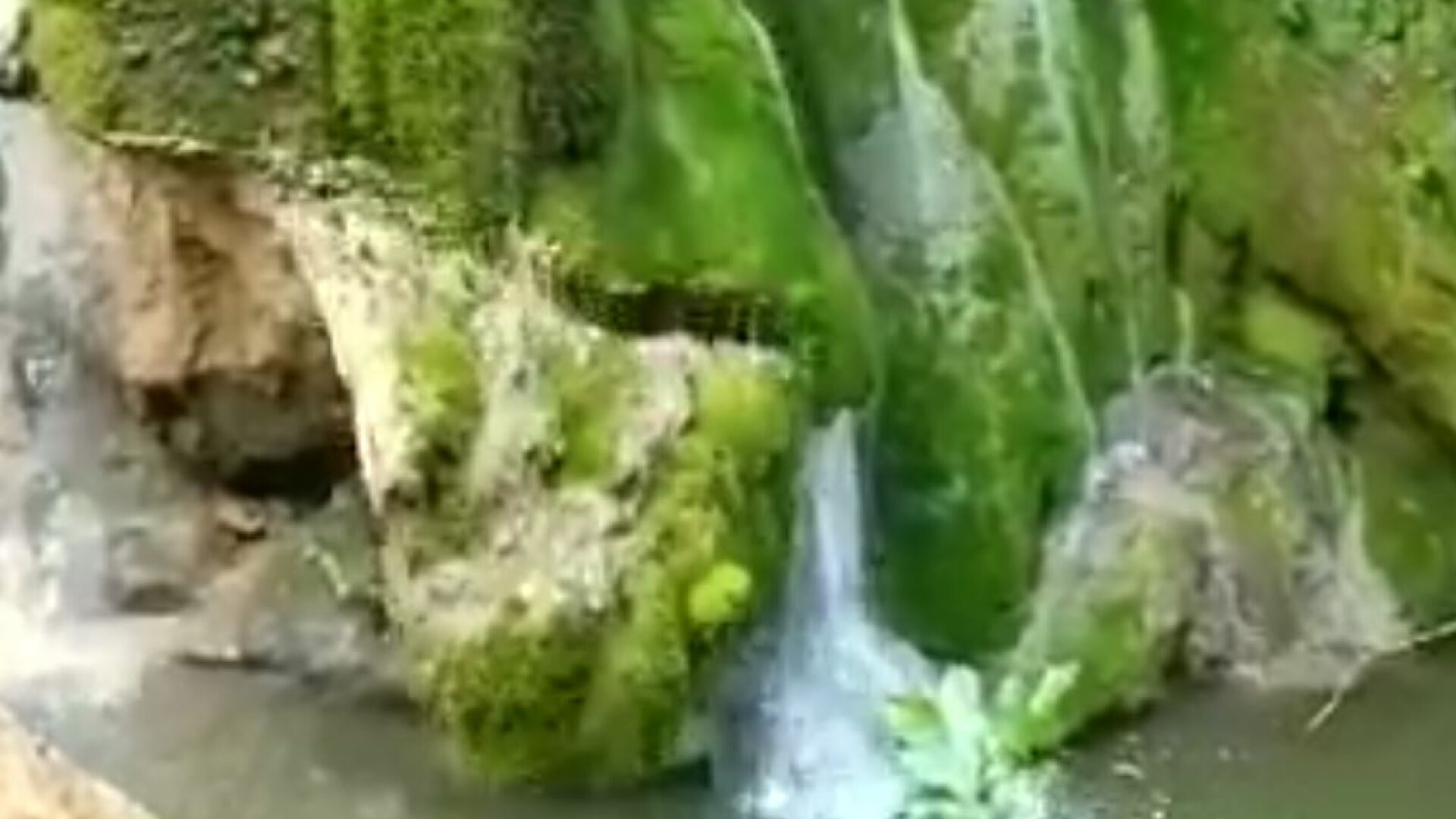 cascada Rucăr