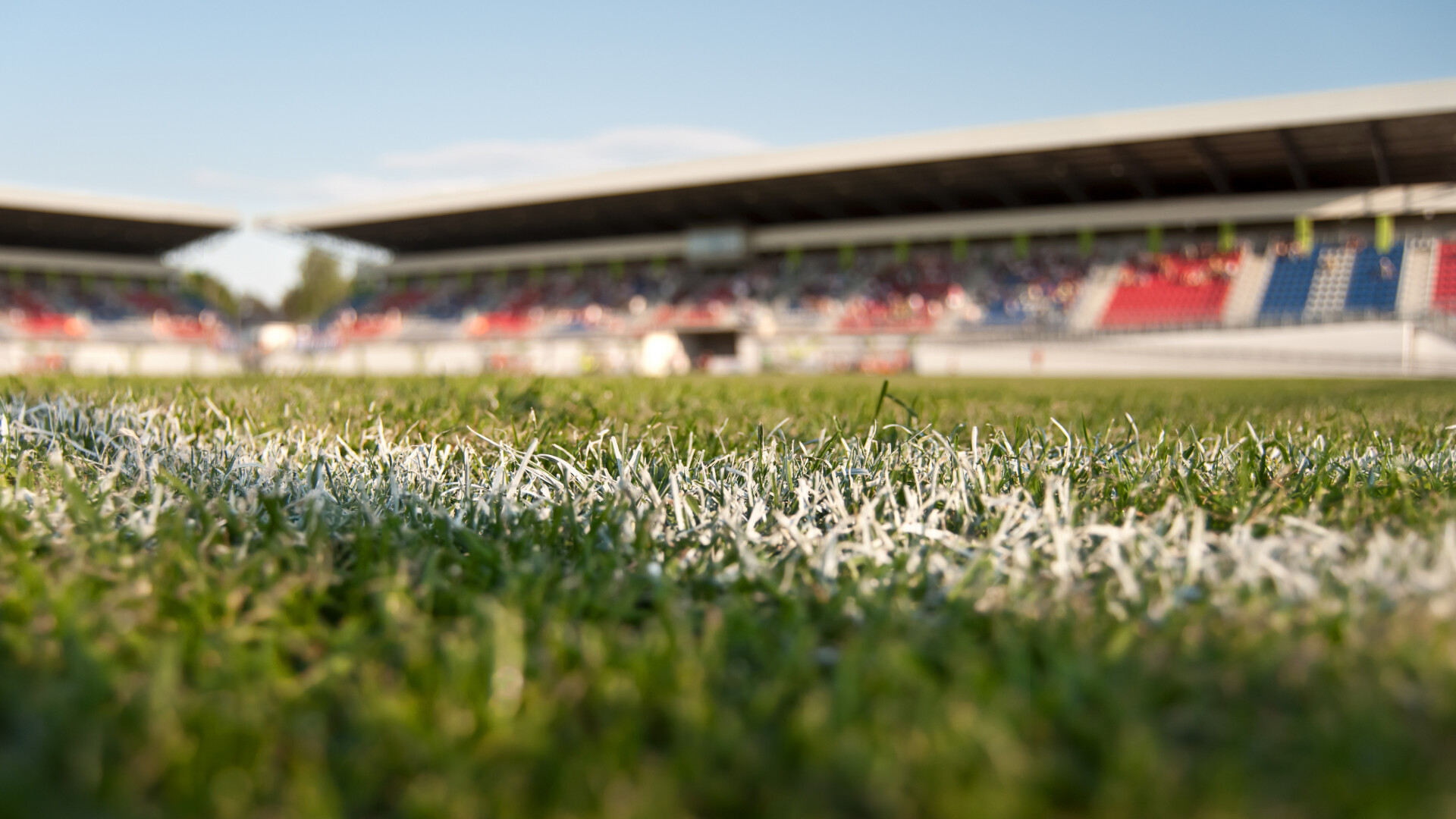 stadion rugby