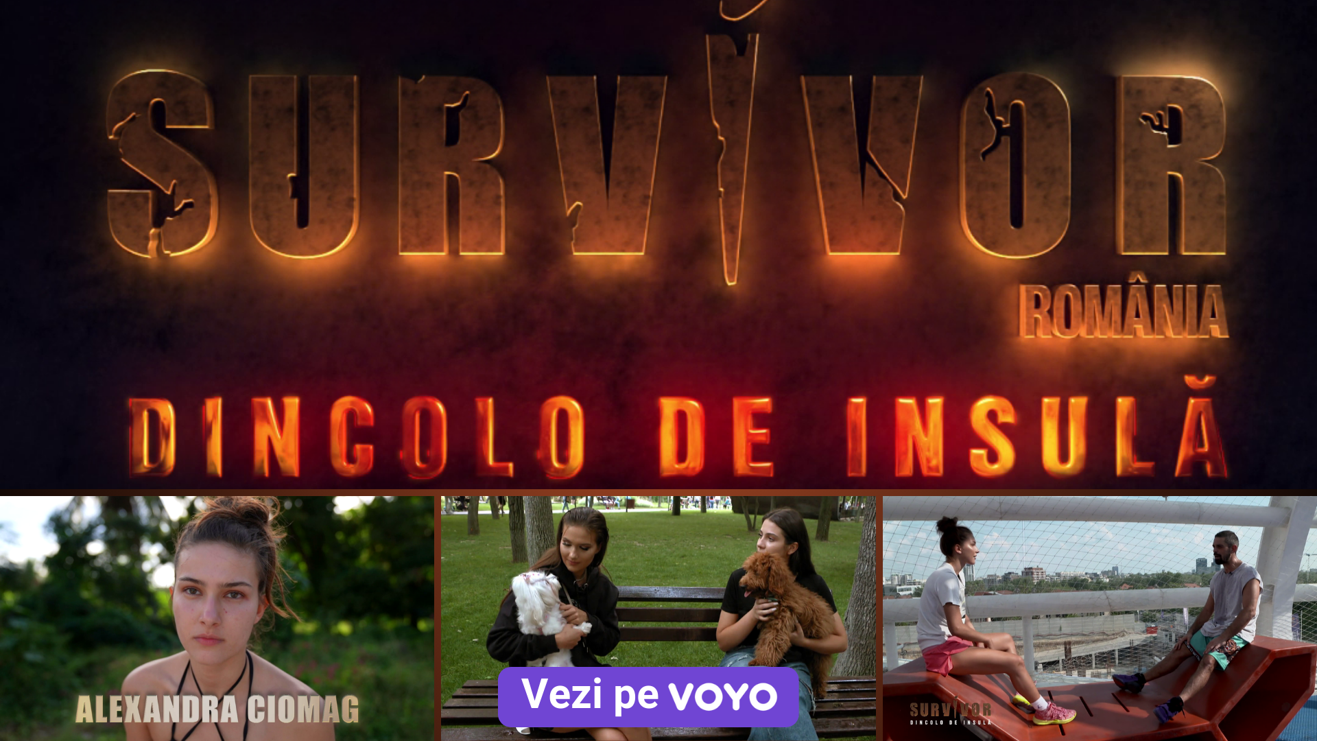 survivor