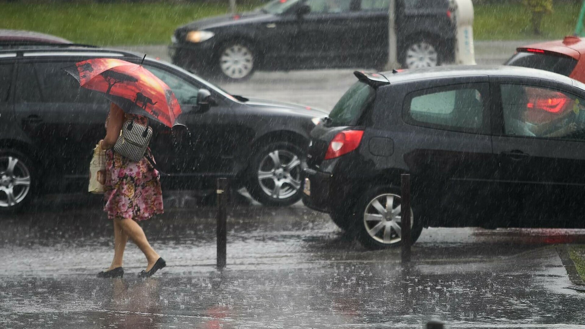 Peste 800 de apeluri la 112 în urma fenomenelor meteo extreme din București și Ilfov. Furtuna a făcut ravagii