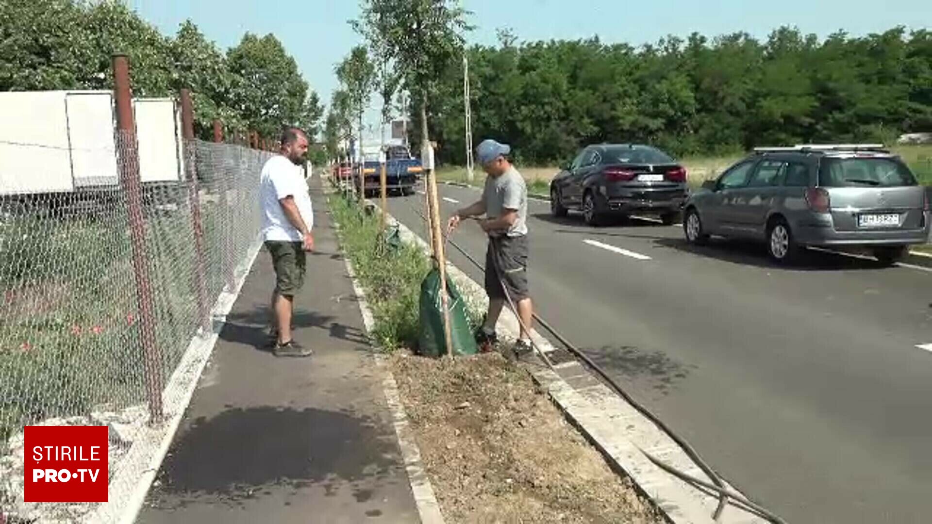 Metoda ingenioasă găsită de autoritățile din Oradea pentru a prelungi viața copacilor nou-plantați. „E foarte bună ideea”