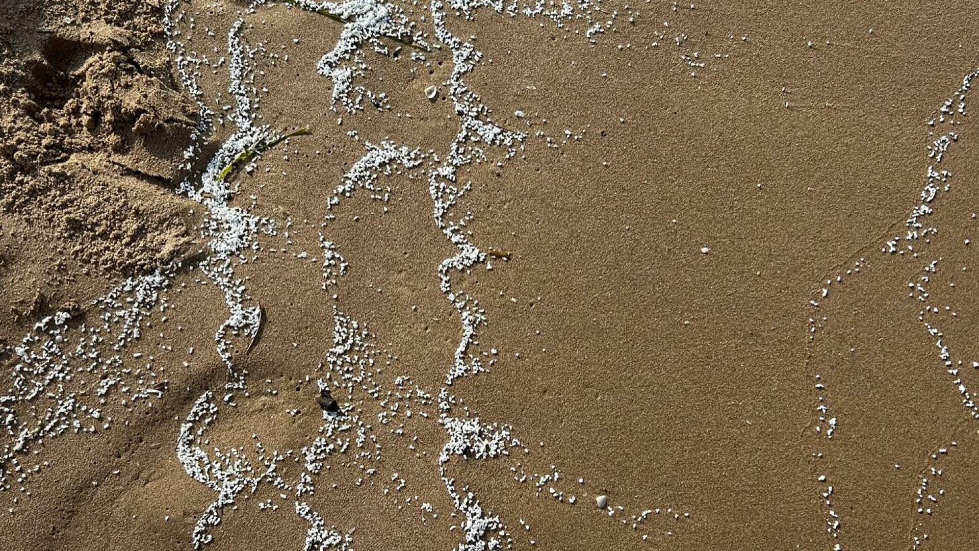 Descoperire bizară în Spania. Patru plaje au fost închise după ce pe nisip au apărut particule albe misterioase. FOTO