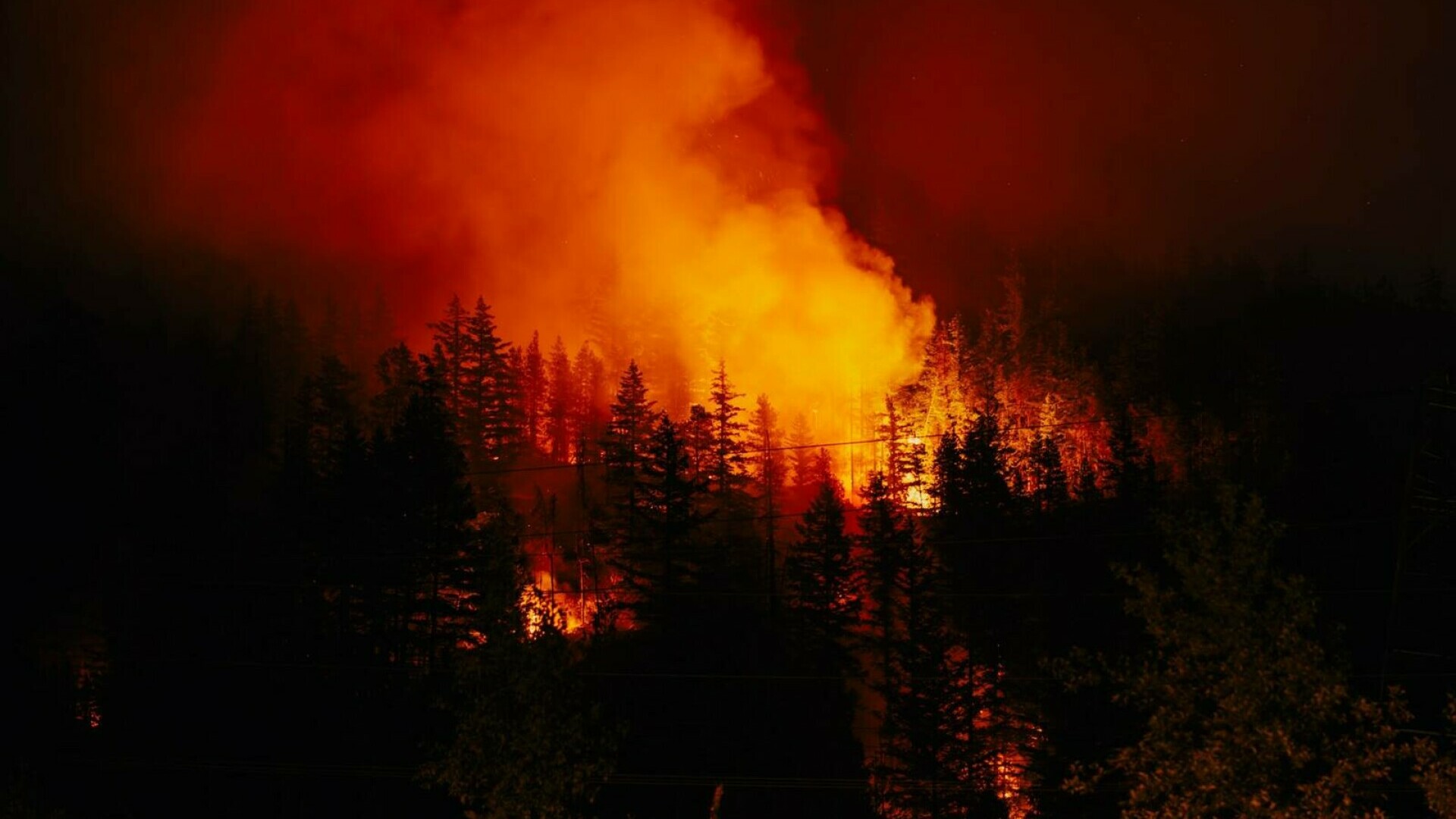 Incendiile de pădure devastează Canada