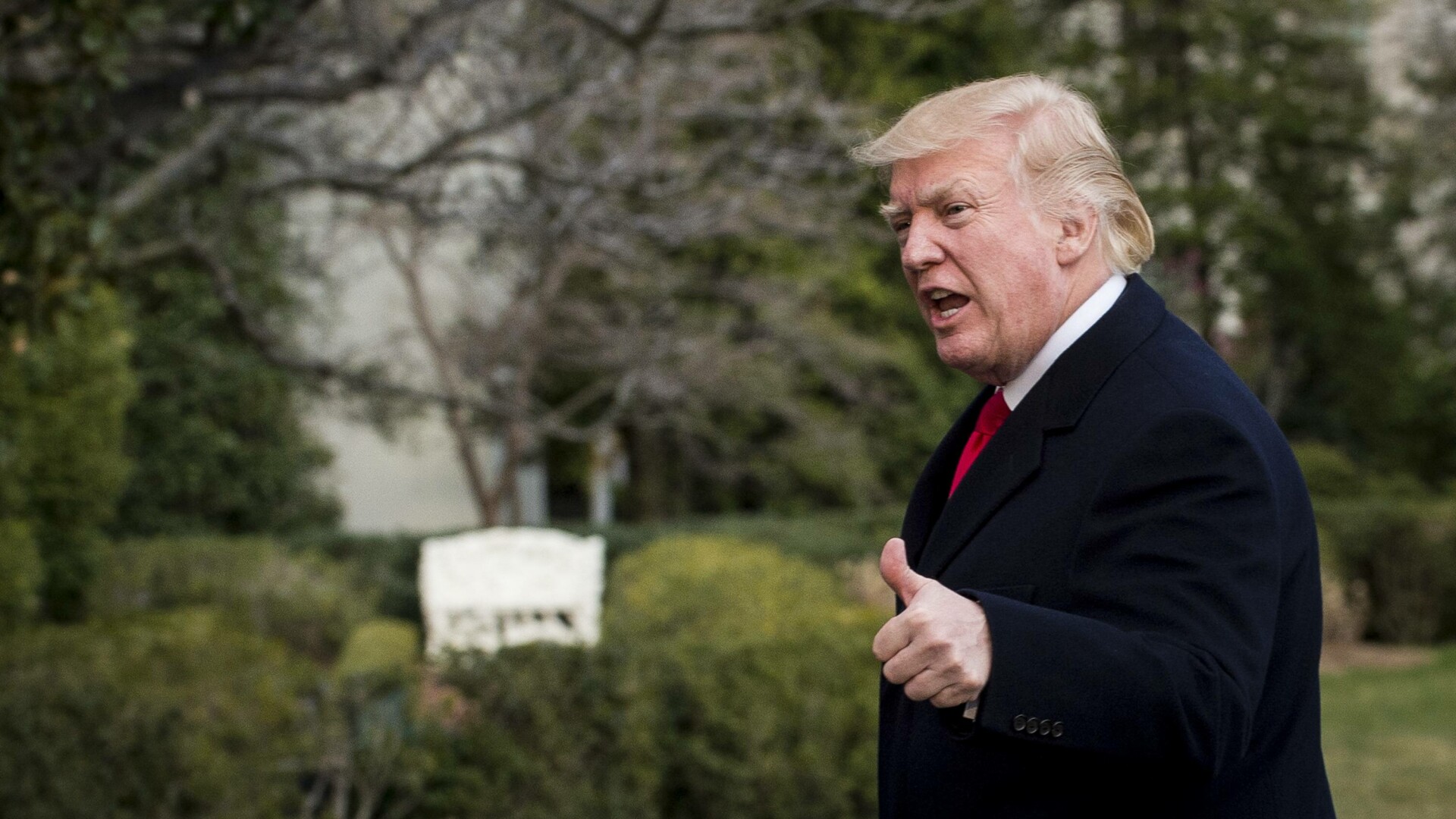 Trump a cumpărat un bloc de lux în Pipera. Un singur apartament costă și peste 600.000 de euro. Cine va locui aici | FOTO